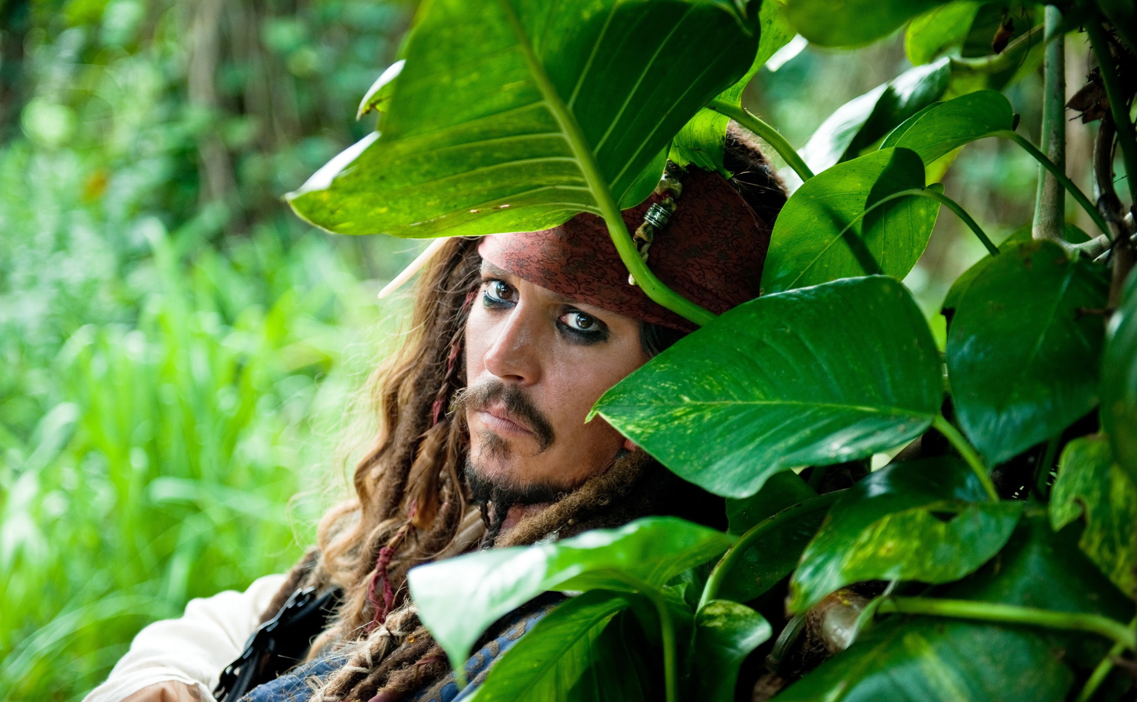 hairstyle, leaves, tides, Pirates Of The Caribbean, young adult, Johnny, adult, real people, nature, plant part, Caribbean, 4K, portrait, leaf, Depp, Movies, HD Wallpaper