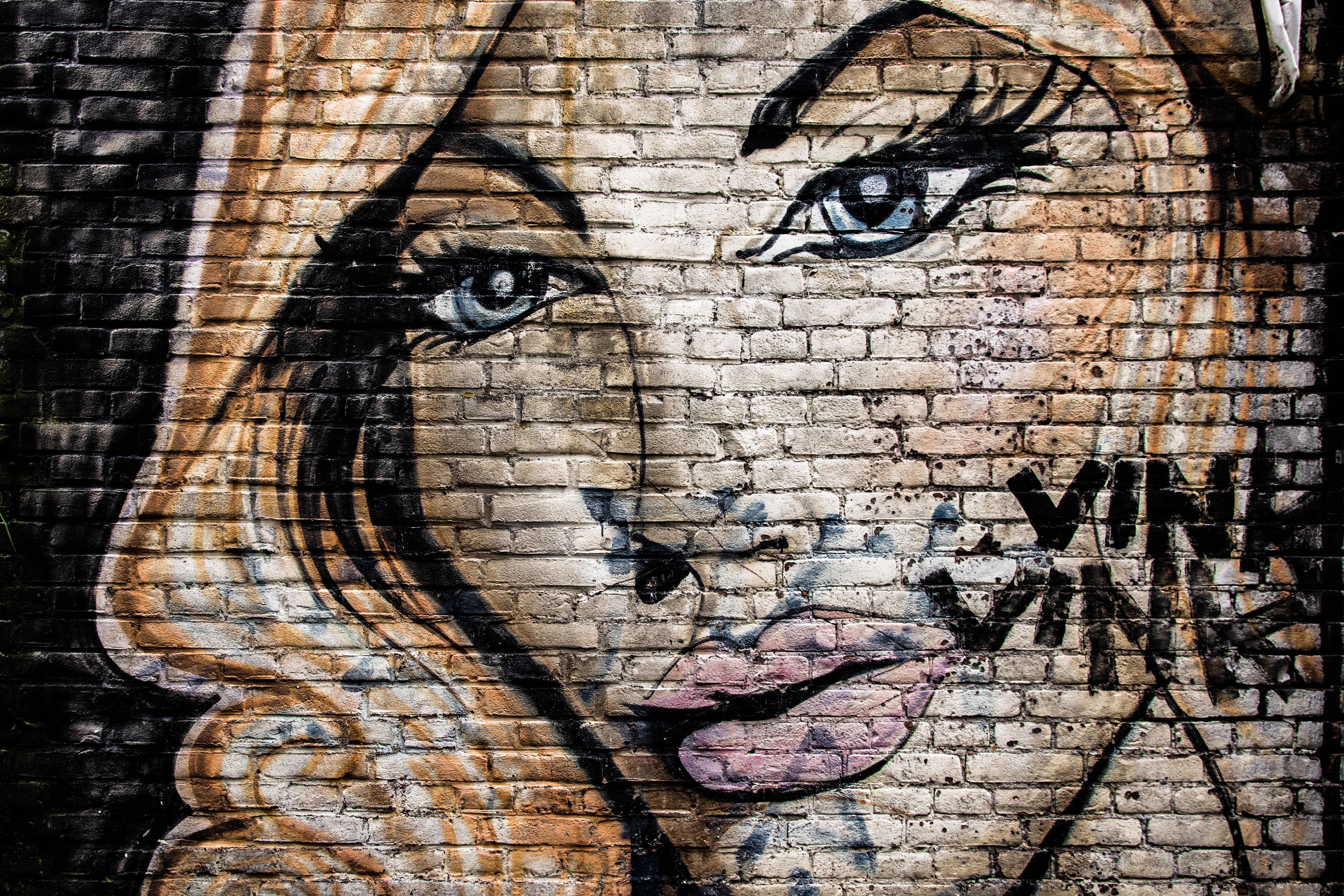 hd, 5K, representation, art and craft, portrait, face, craft, city, wall, female, creative, vink, day, women, street, creativity, full frame, close-up, HD Wallpaper