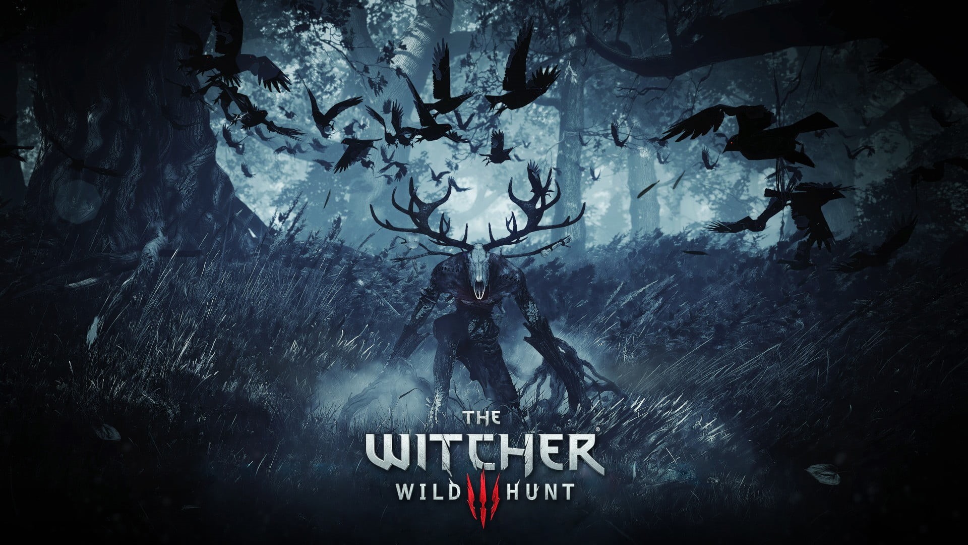 western script, no people, indoors, sign, nature, The Witcher, wild, wall - building feature, hd, day, creativity, witcher, representation, architecture, HD Wallpaper