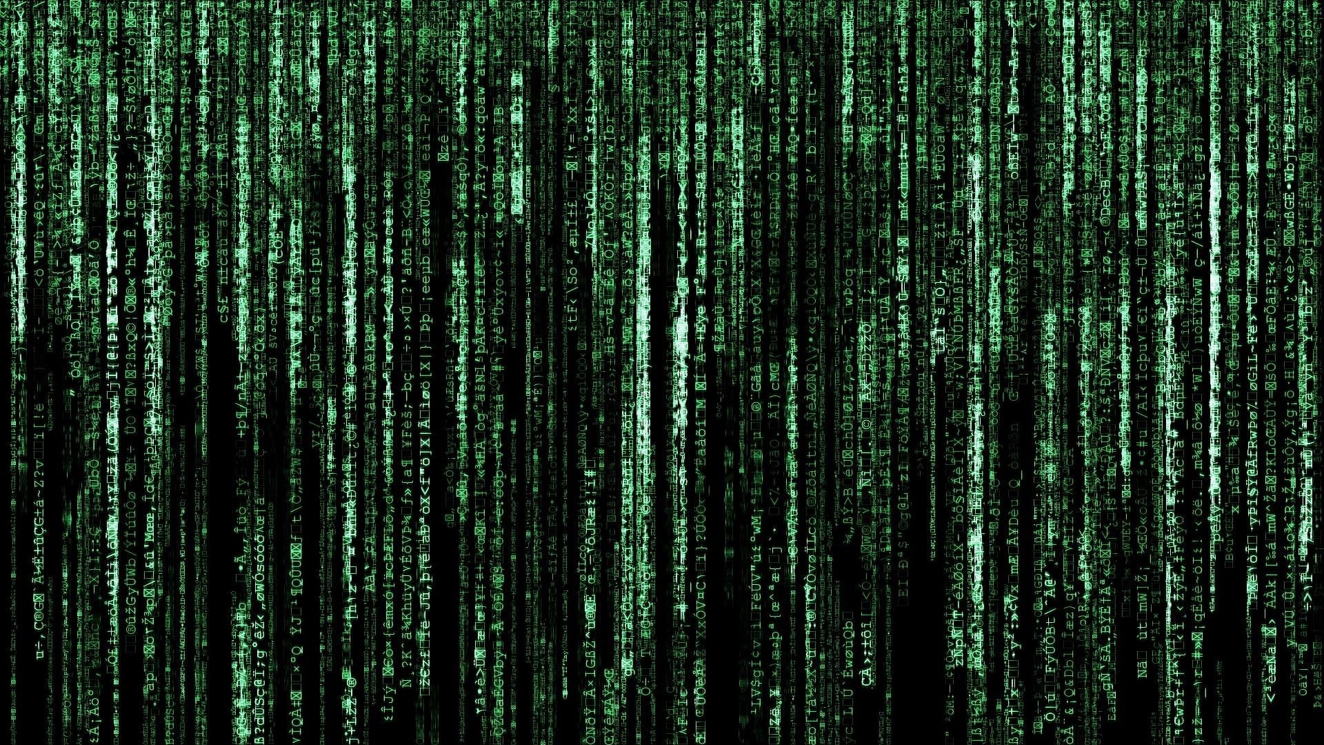 pattern, green color, no people, woodland, darkness, full frame, technology, coniferous tree, binary code, wireless technology, data, forest, pine woodland, HD Wallpaper