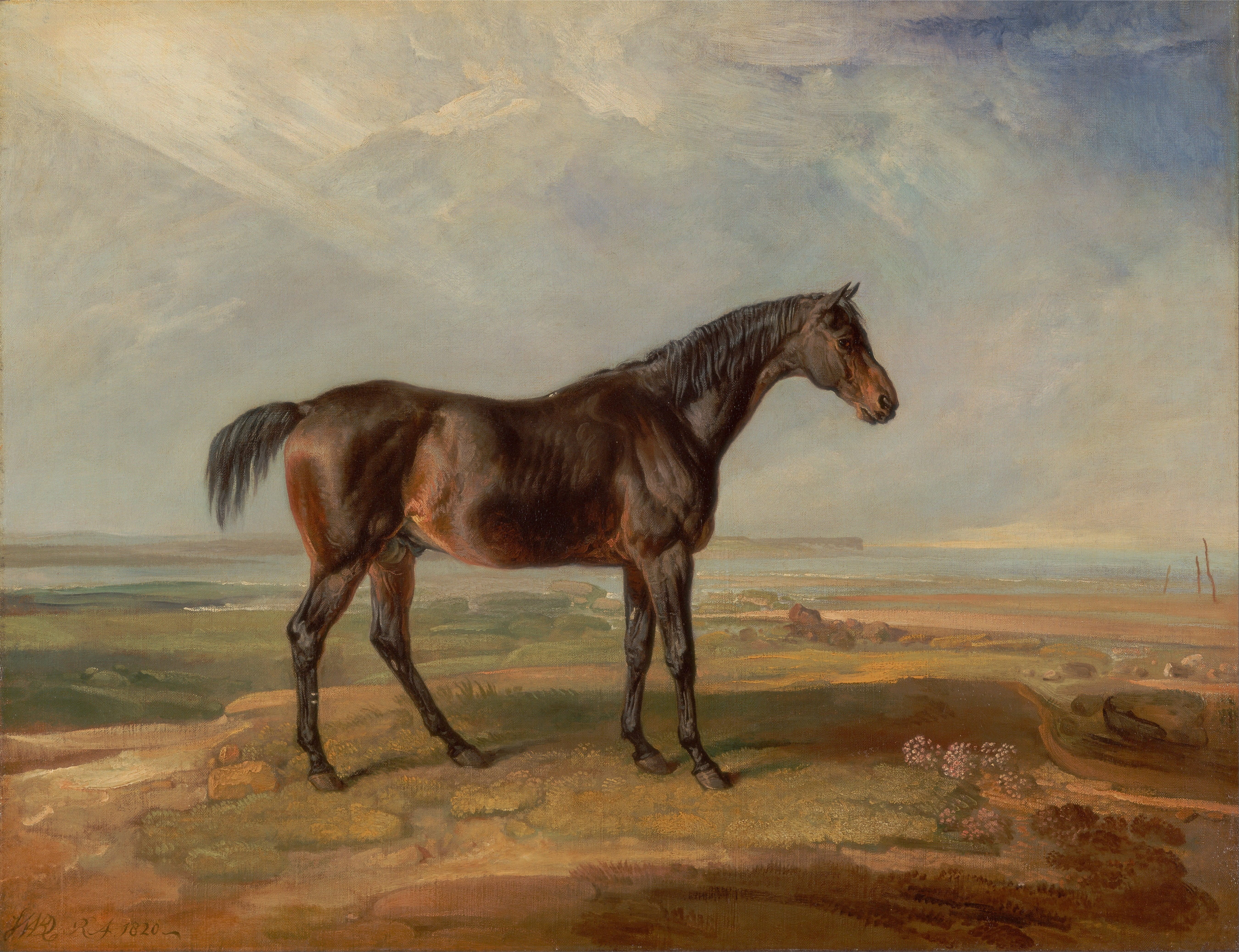 land, desert, standing, art, sky, no people, pets, 5K, horse, James Ward, full length, side view, herbivorous, nature, Painting, mammal, brown, country, HD Wallpaper