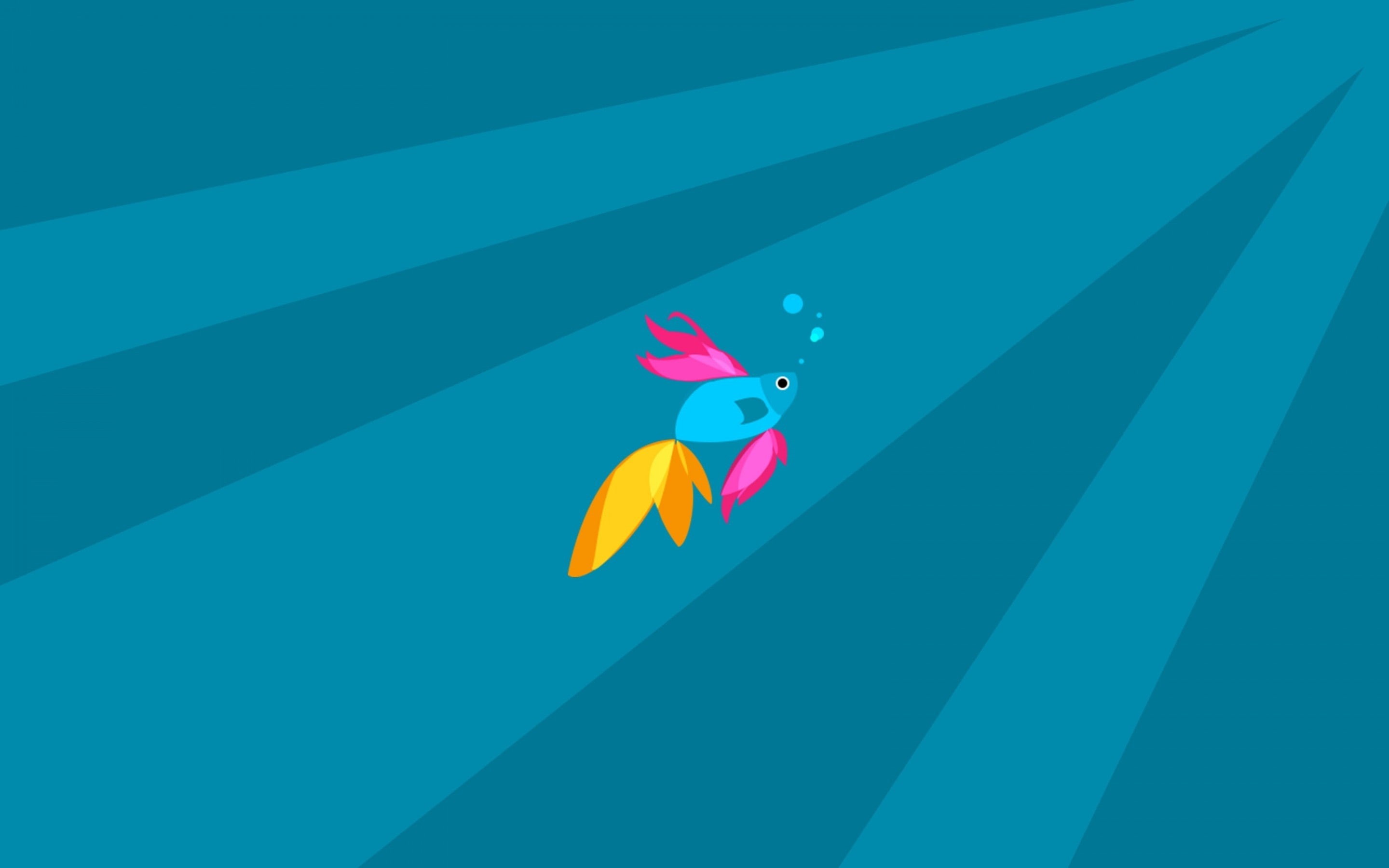 technology, 2K, fish, hi tech, windows, Windows 8, beta, tech, HD Wallpaper
