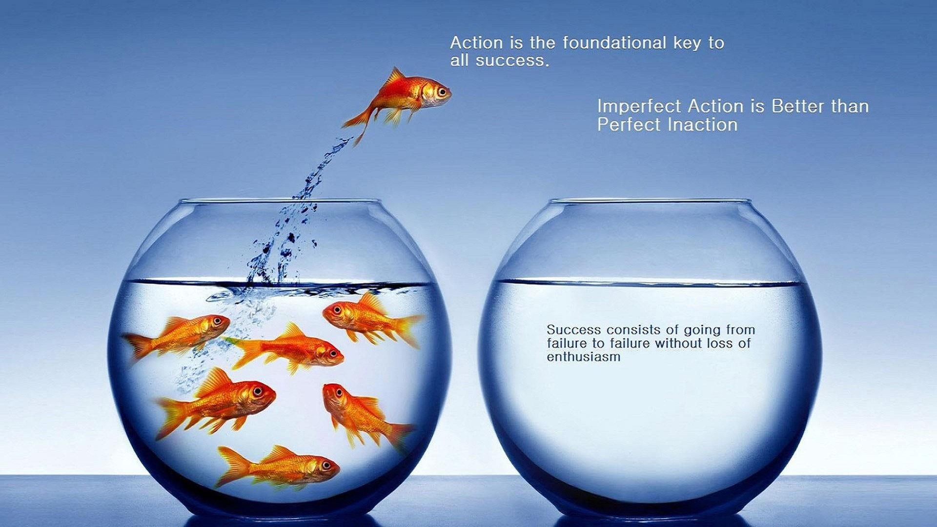success, foundation, action, better, imperfect, 1080P, inaction, HD Wallpaper