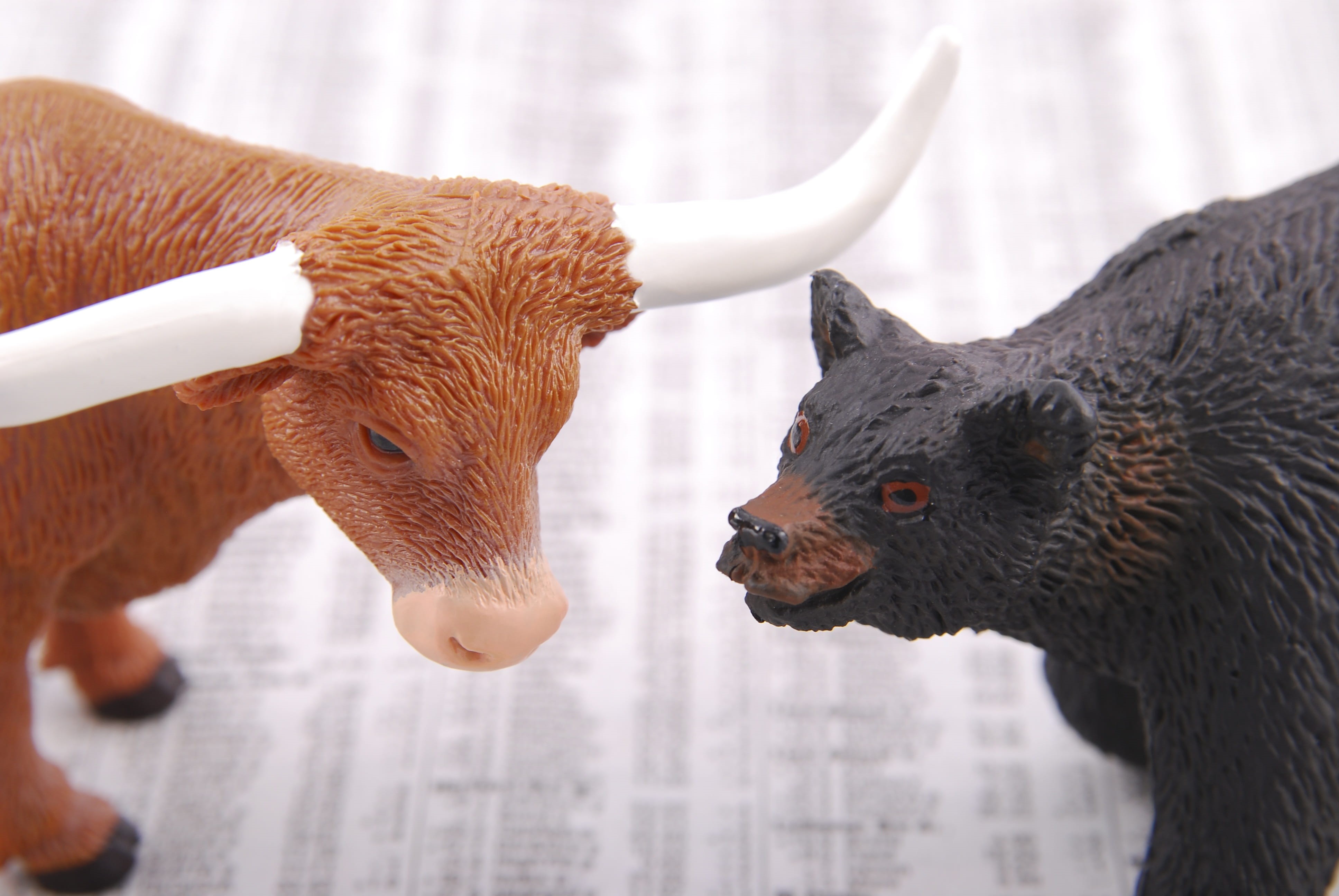 one animal, business, bearish, focus on foreground, animal representation, trend, bullish, sell, trading, financial, no people, trade, animal head, bird, HD Wallpaper