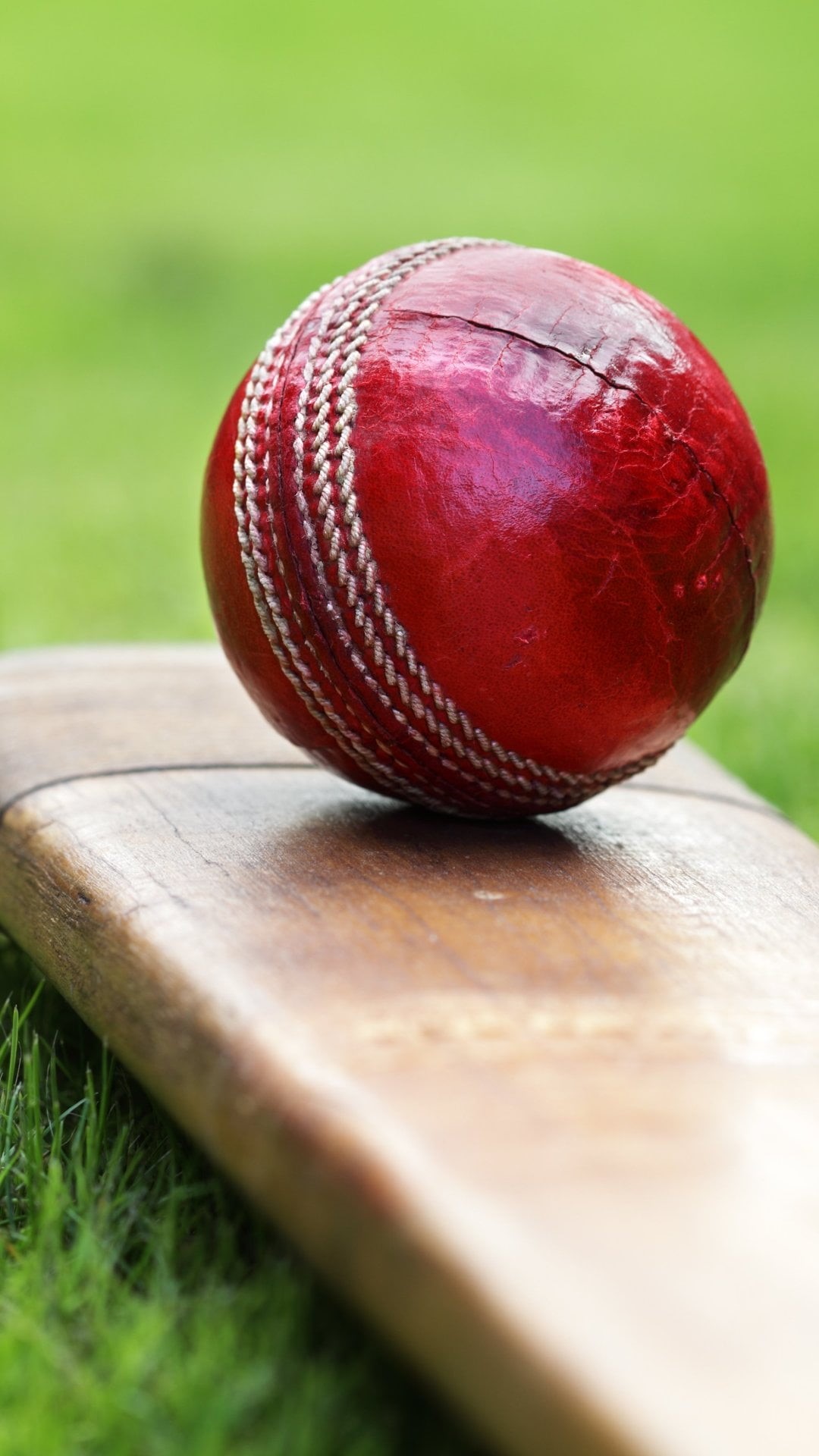red, food and drink, brown, fruit, lawn, ball, activity, outdoors, green color, wood - material, bat, grass, sport, nature, food, close-up, leisure activity, Phone HD Wallpaper
