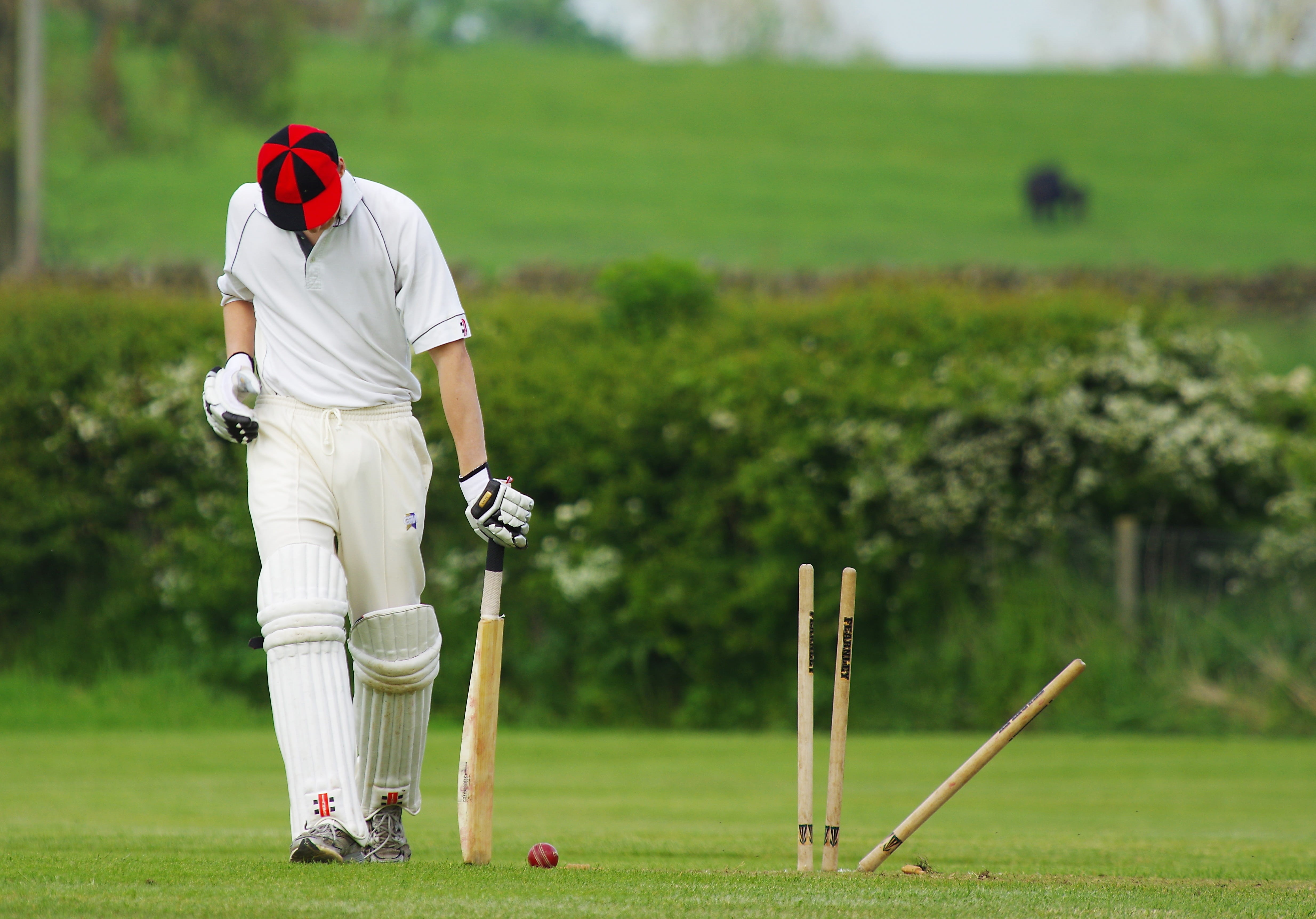 bat, photography, dejected, sport, taking a shot - sport, 4K, cricketer, holding, nature, player, stumps, bowled, men, wicket, day, leisure activity, hit, HD Wallpaper