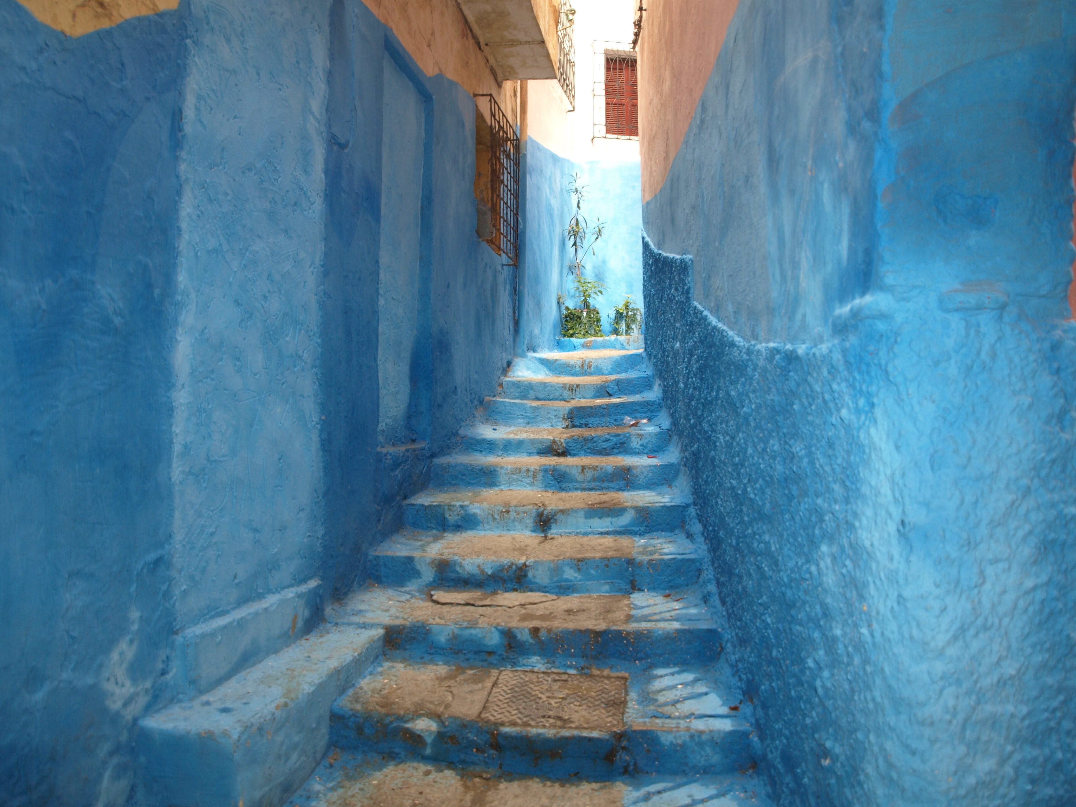 building exterior, typical, narrow, landscape, direction, white, street, morocco, building, architecture, no people, blue, entrance, marroc, houses, alley, HD Wallpaper