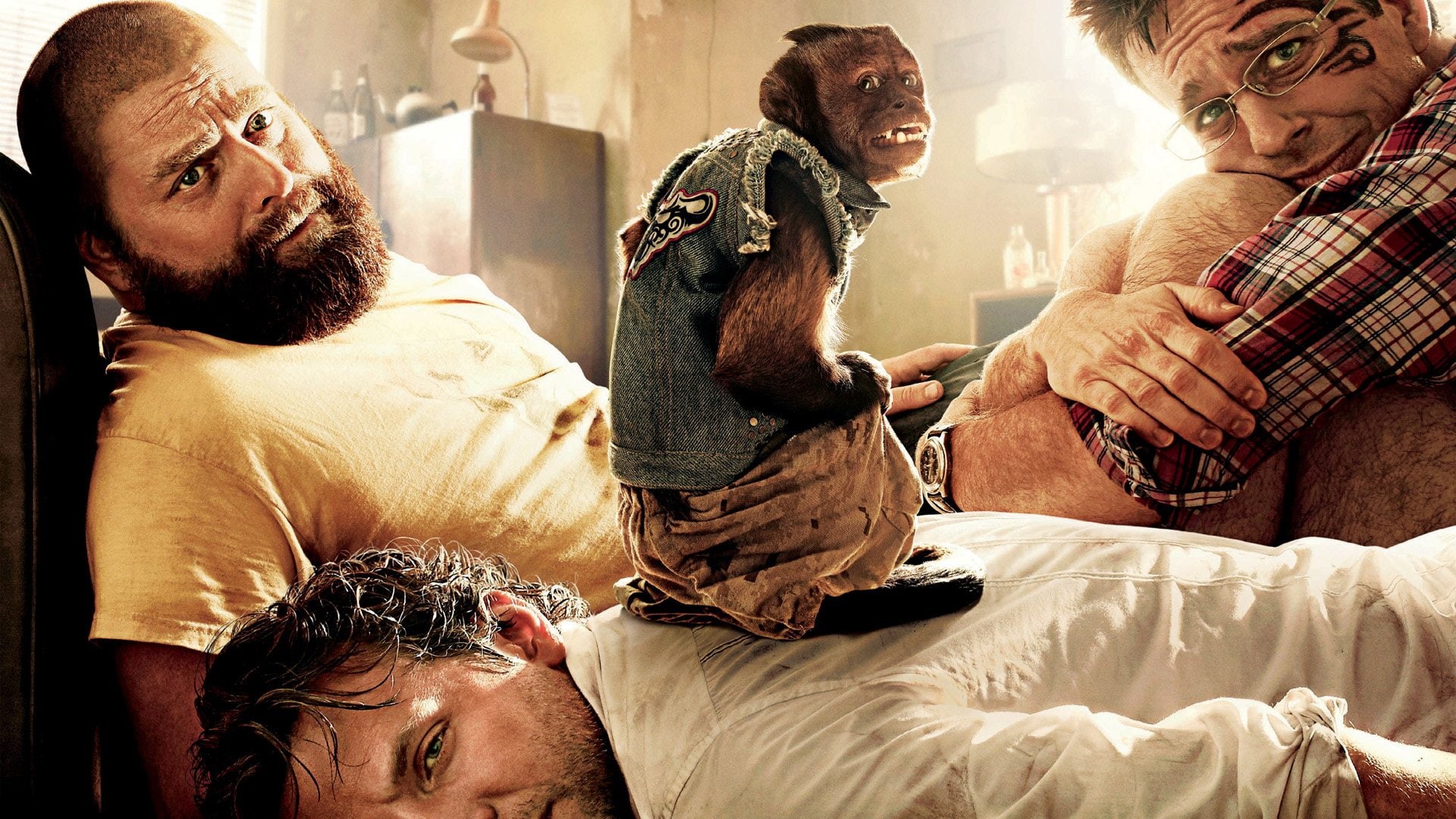 Ed Helms, Movie, 1080P, Zach Galifianakis, Bradley Cooper, The Hangover Part II, HD Wallpaper