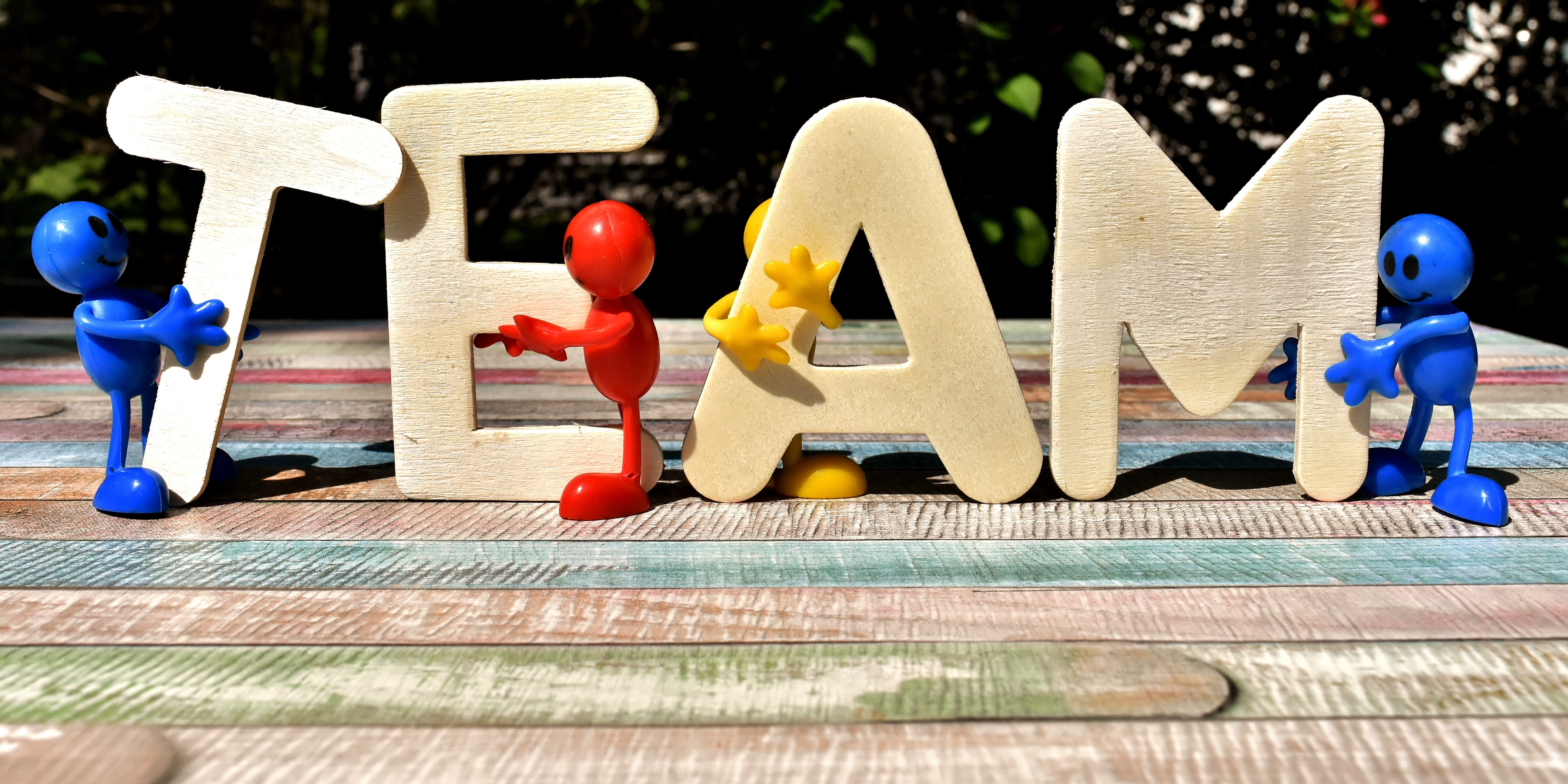team spirit, cooperate, relaxation, human representation, brown, cohesion, day, group of people, daytime, collective, text, creativity, wood - material, HD Wallpaper