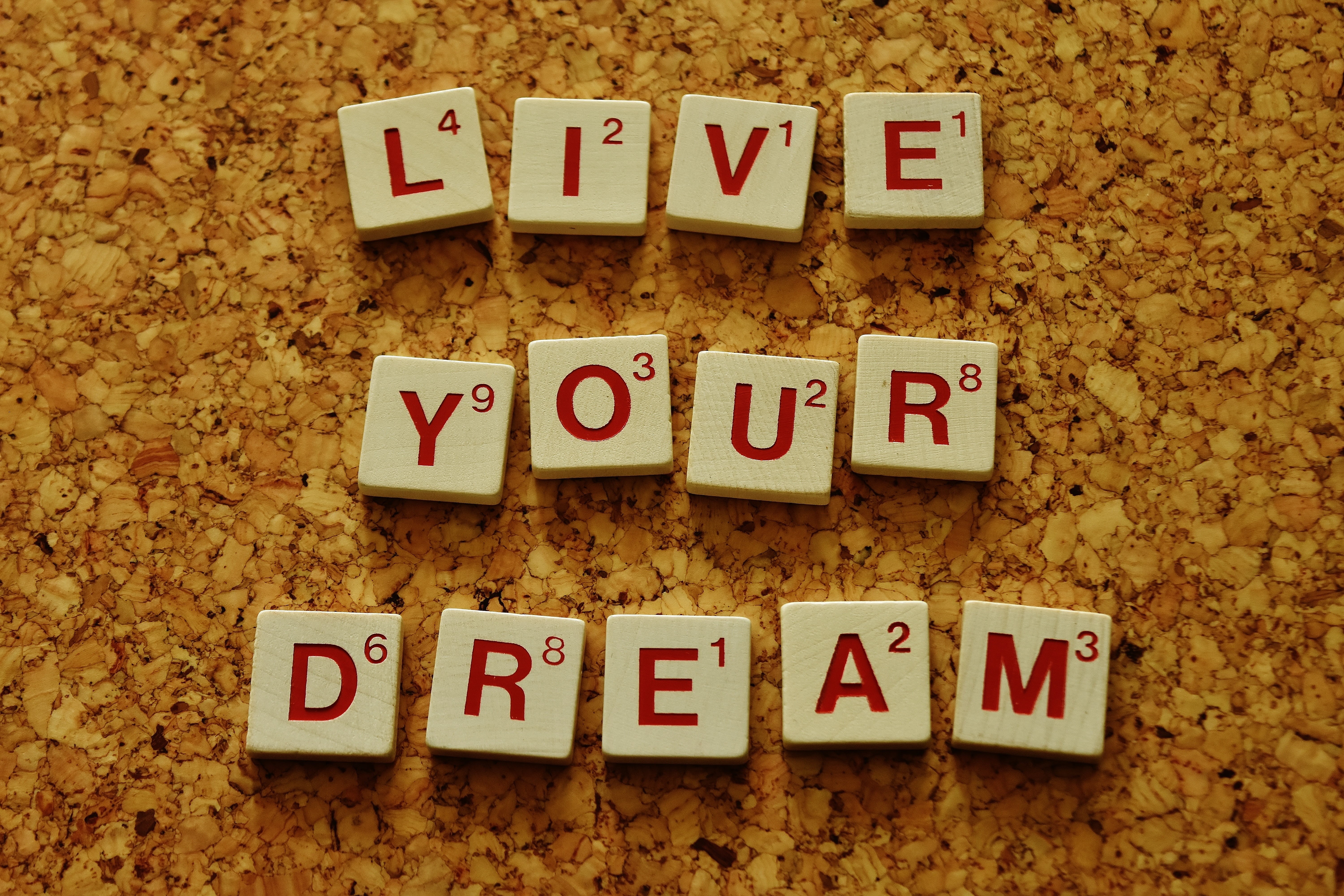 alphabet, enjoy, dream, day, still life, initiative, childhood, pursue goals, word, snack, message, block, communication, close-up, scrabble, enjoy life, HD Wallpaper