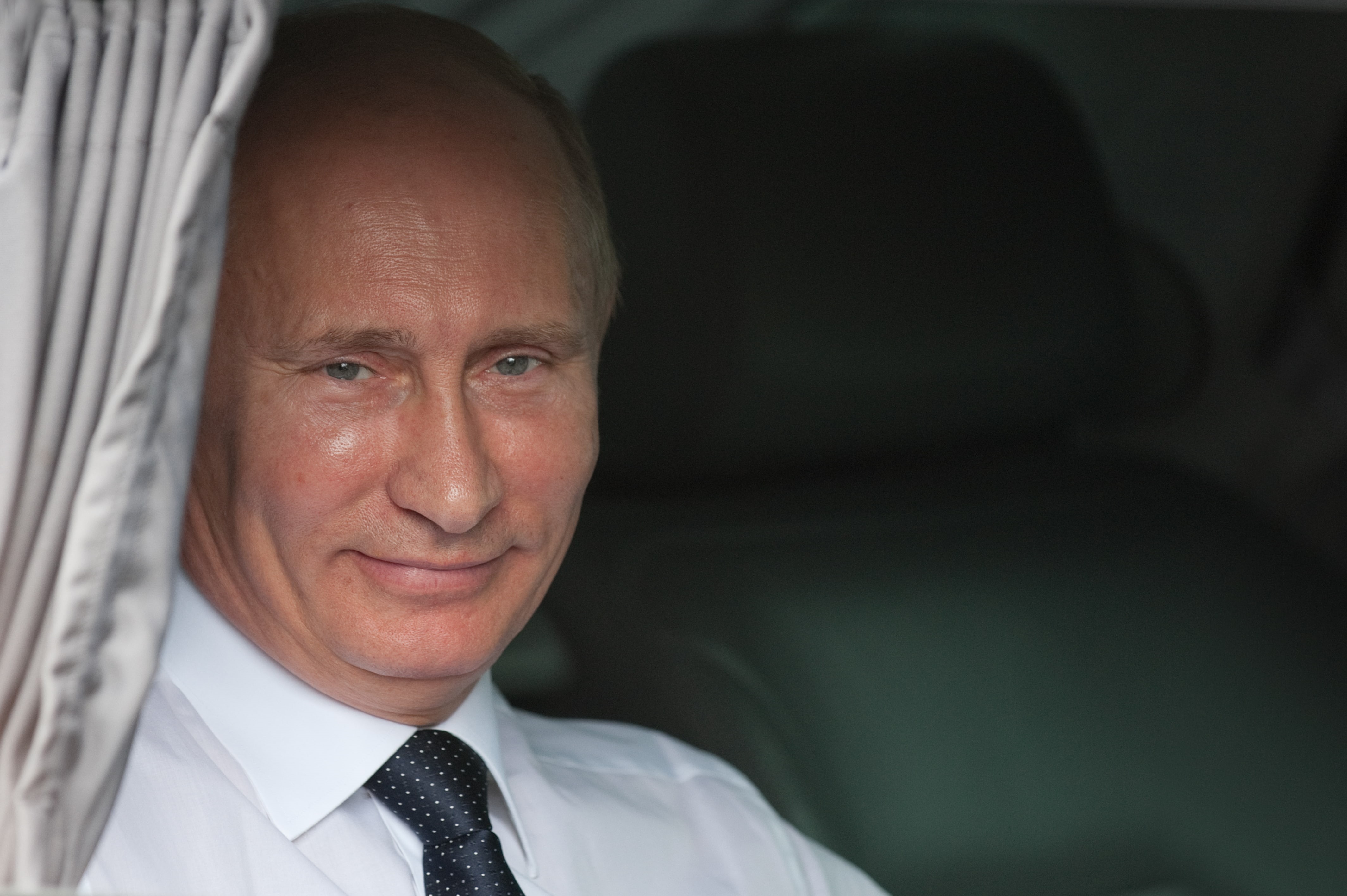 president, 4K, putin, vladimir, men, russian, man, russia, HD Wallpaper