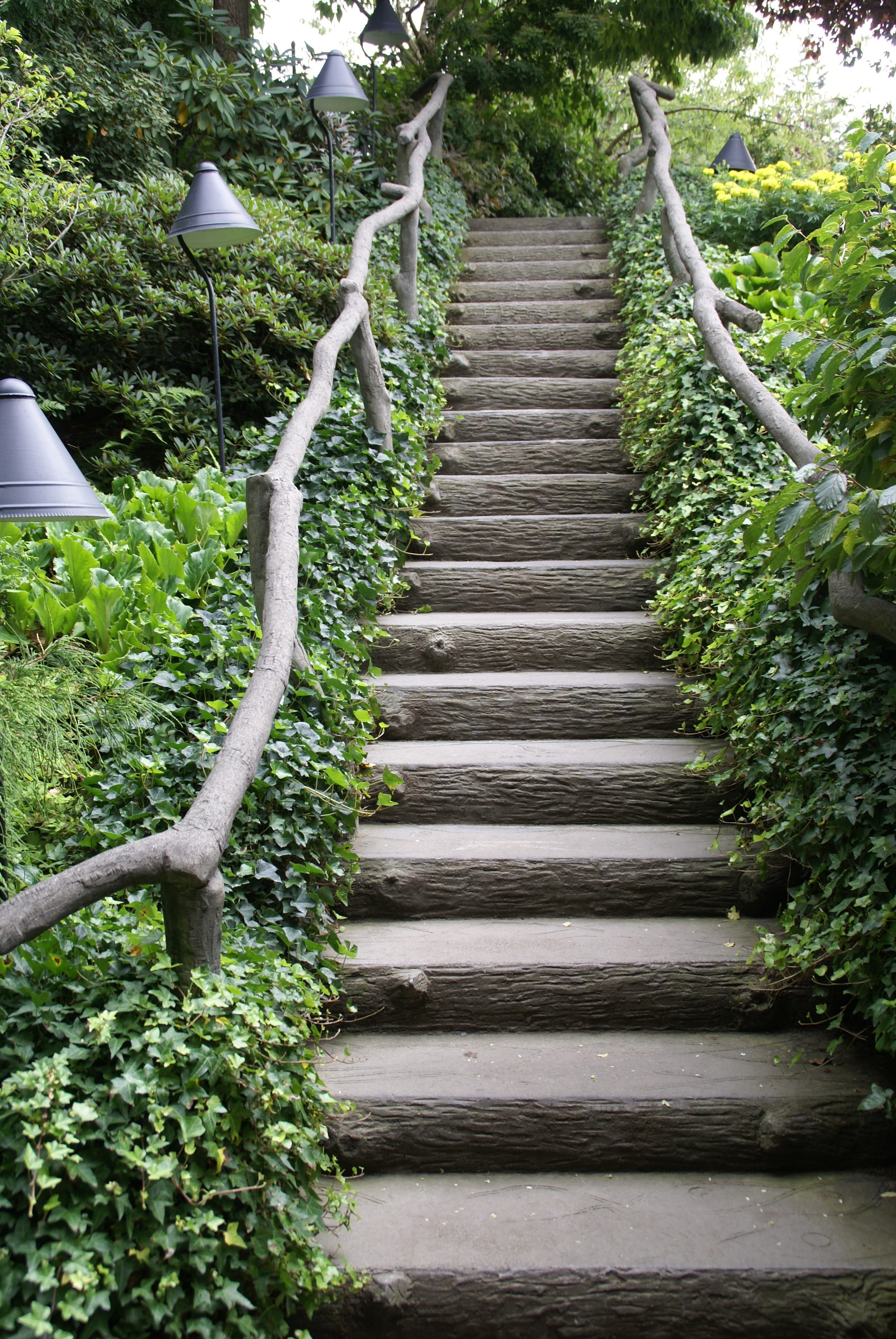 surrounded, gardens, stairway, no people, wooden, butchart, stairways, butchart gardens, green color, plant, growth, tree, british columbia, garden, canada, Phone HD Wallpaper