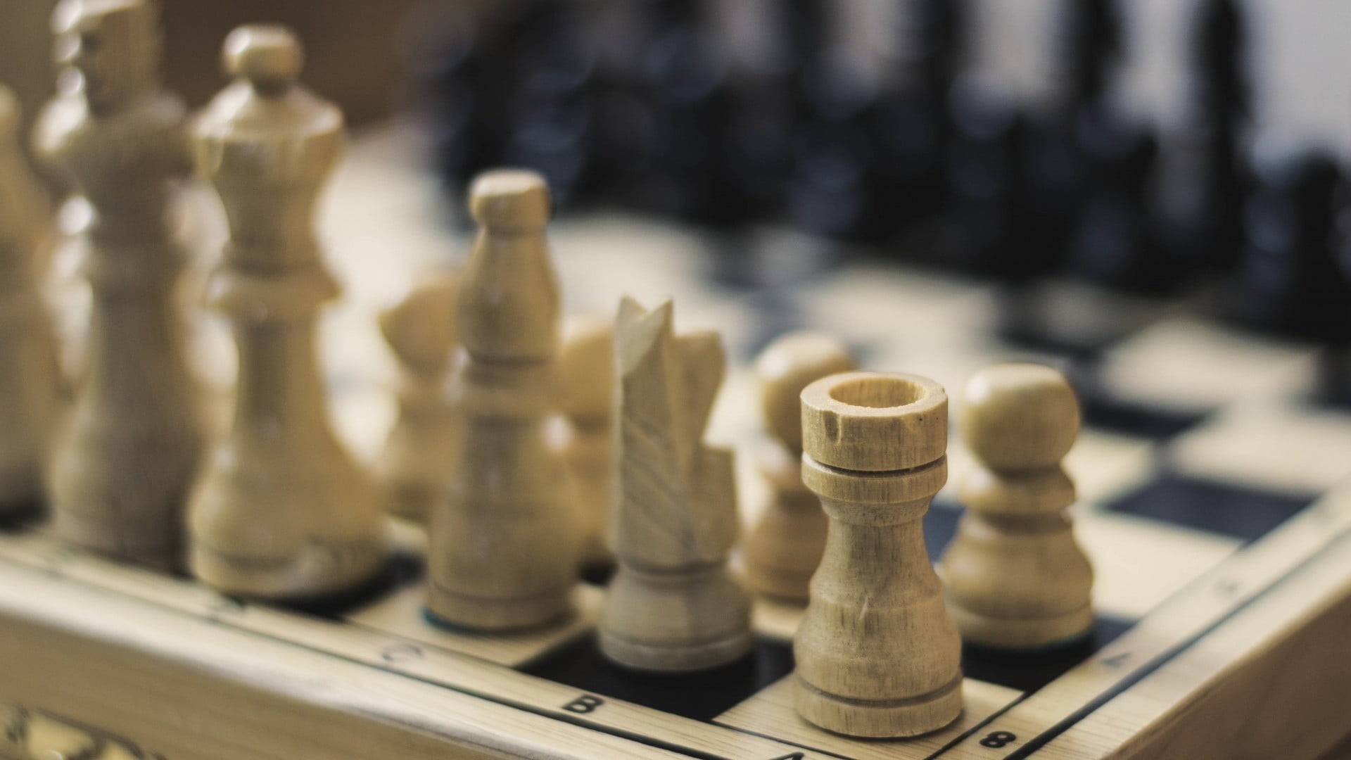 board game, high angle view, closeup, pawn - Chess Piece, rivalry, set, teamwork, planning, black Color, knight - Chess Piece, focus on foreground, part Of, HD Wallpaper