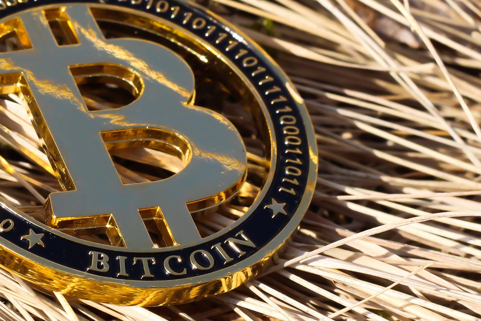 luxury, complexity, shape, gold colored, full frame, bitcoin, indoors, communication, high angle view, money, cryptocurrency, focus on foreground, coin, HD Wallpaper