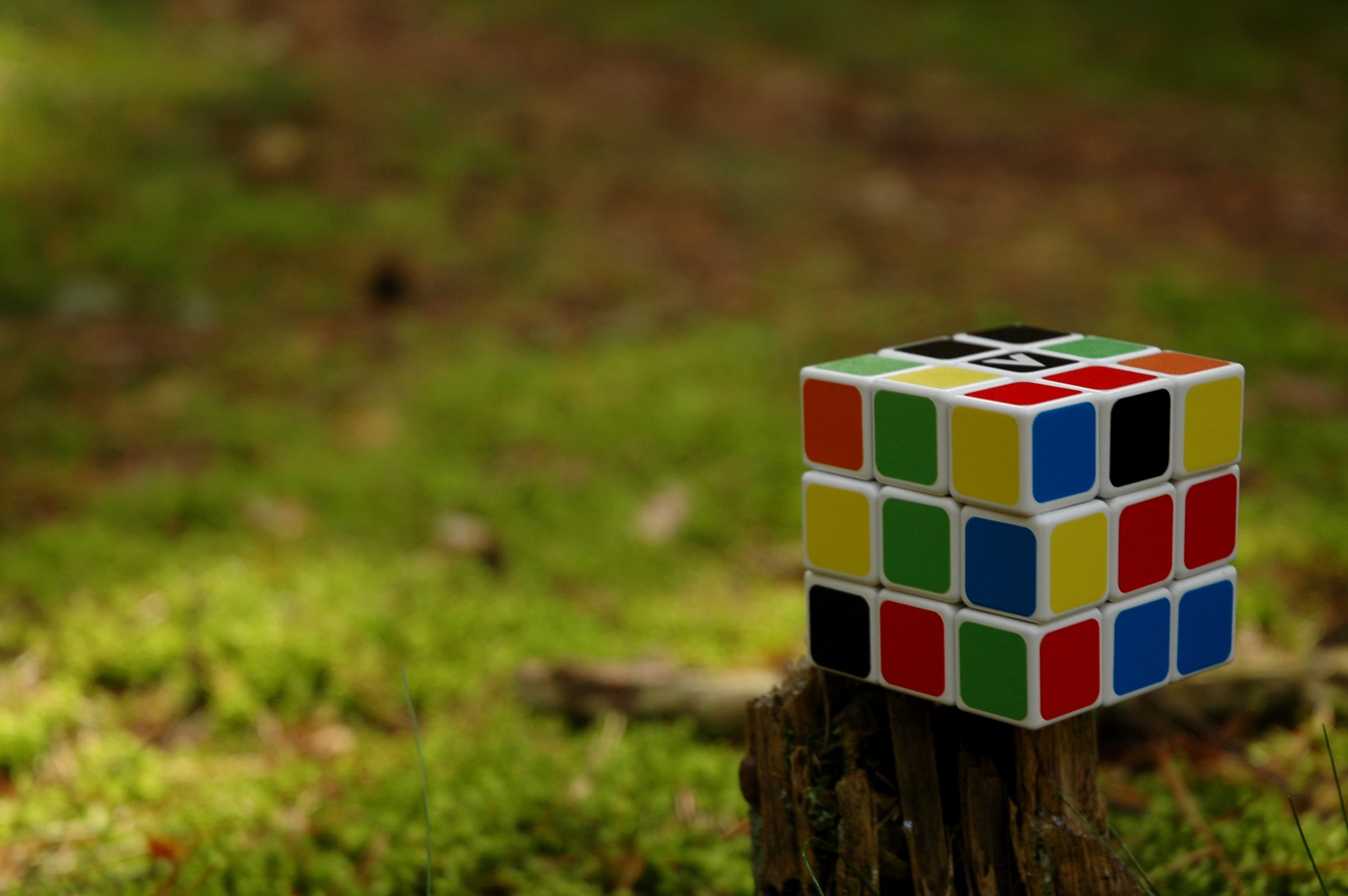 colorful, x, house, field, arts culture and entertainment, nature, toy, built Structure, green Color, outdoors, cube Shape, color Image, ideas, wood - Material, HD Wallpaper