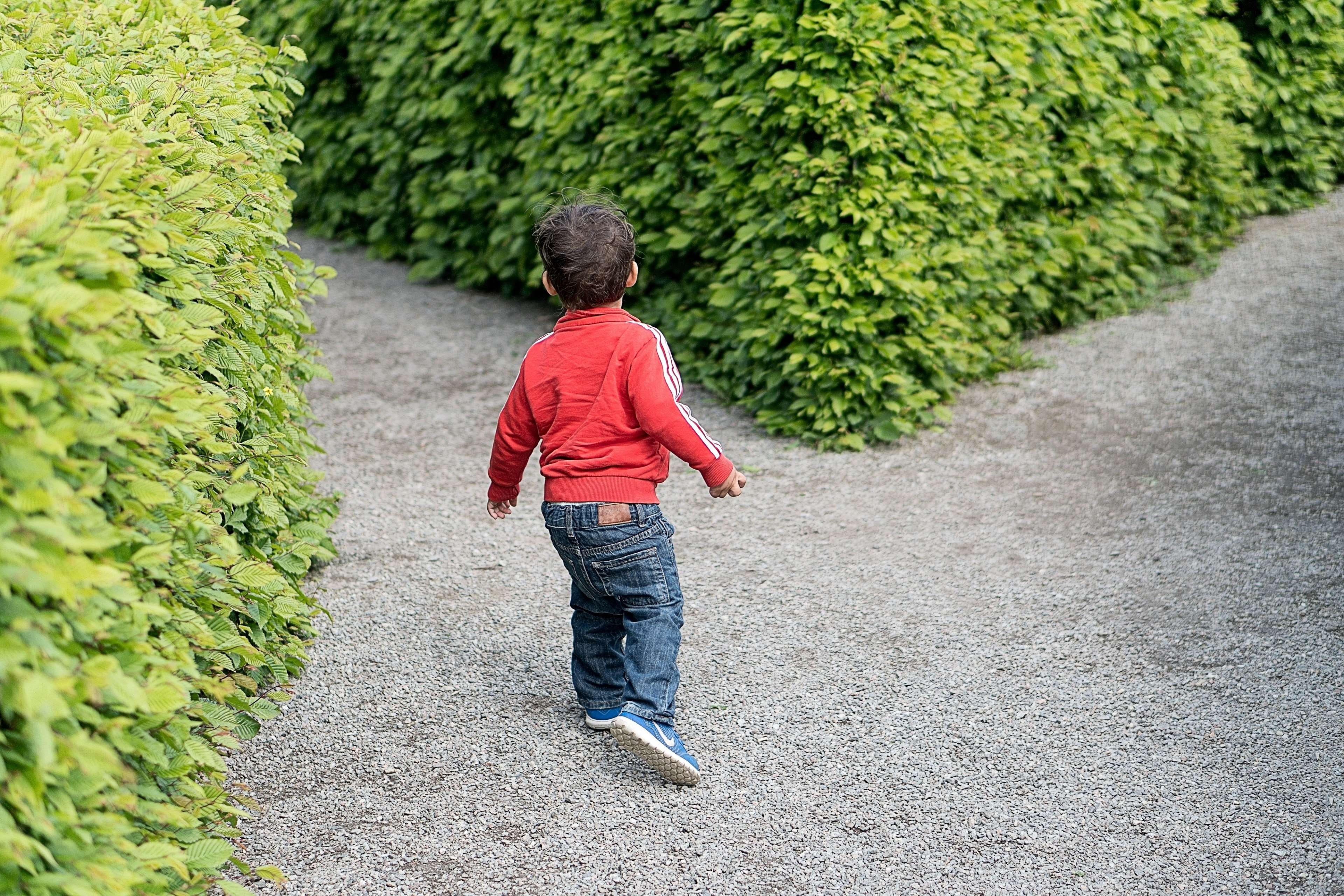 crossroad, choice, footpath, boy, leisure activity, labyrinth, confusion, 4K, boys, plant, outdoors, puzzle, problem, conceptual, opportunity, the way forward, HD Wallpaper