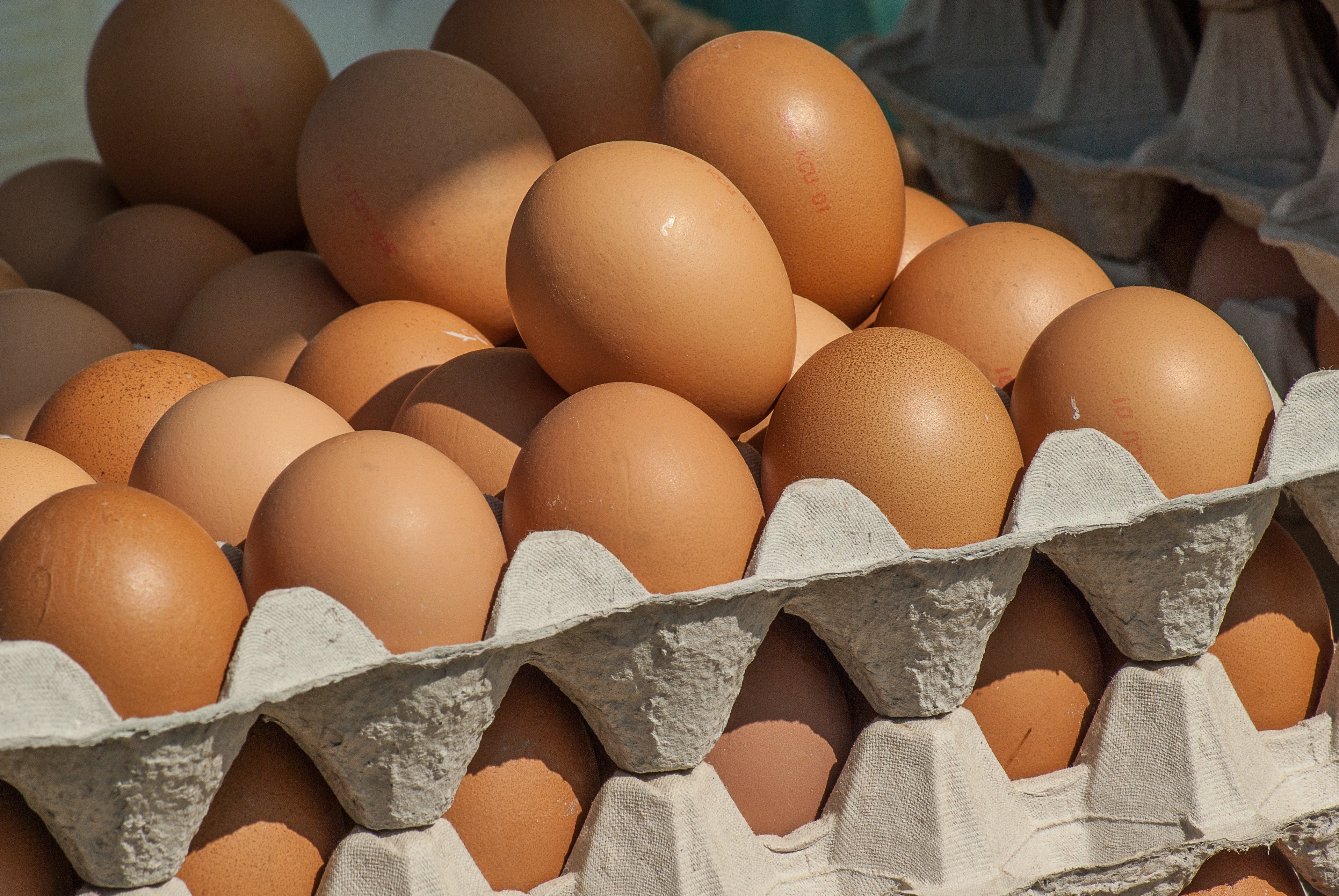 fragility, egg, 2K, eggs, food and drink, egg carton, brown, close-up, healthy eating, vulnerability, container, farm, carton, large group of objects, HD Wallpaper