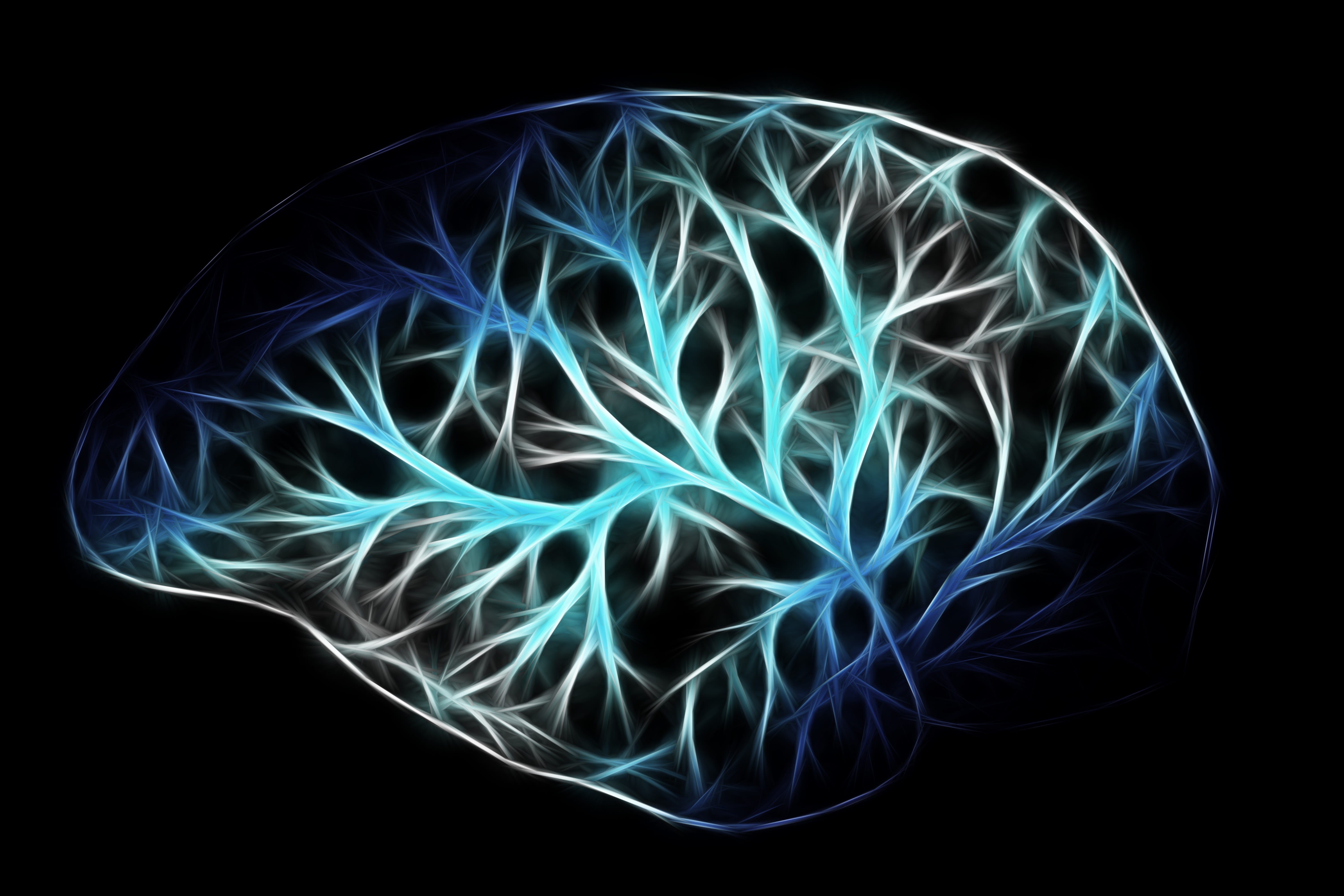 5K, brain, studio shot, curve, light - natural phenomenon, link, motion, networking, blue, black, abstract, human, no people, design, think, physiology, HD Wallpaper