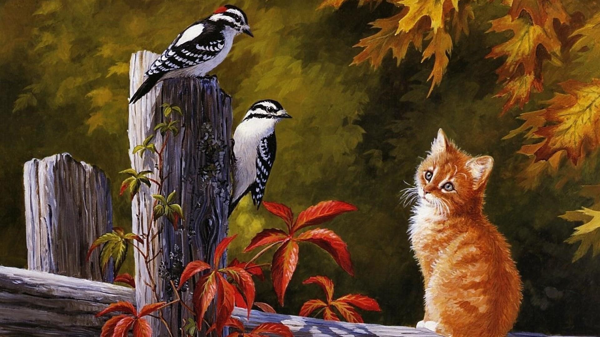 bird, painting, 1080P, acrylic paint, kitten, birds, beak, fauna, autumn, mood, cat, art, wildlife, HD Wallpaper
