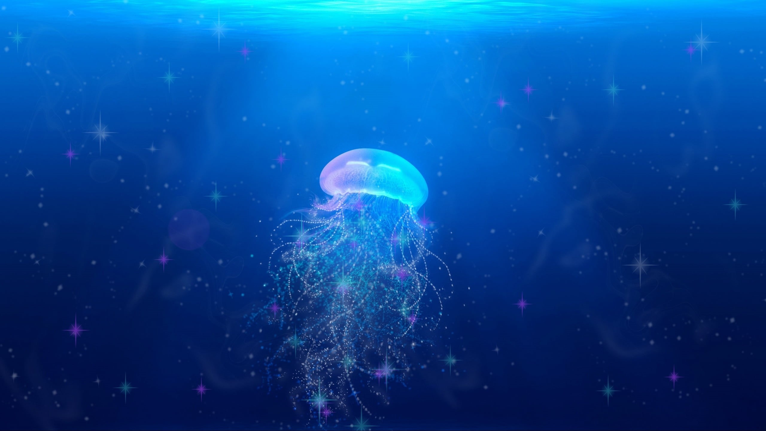 Jellyfish, 2K, outdoors, medusa, marine, swimming, luminos, animals in the wild, nature, sea life, summer, sea, transparent, no people, ocean, animals in captivity, HD Wallpaper