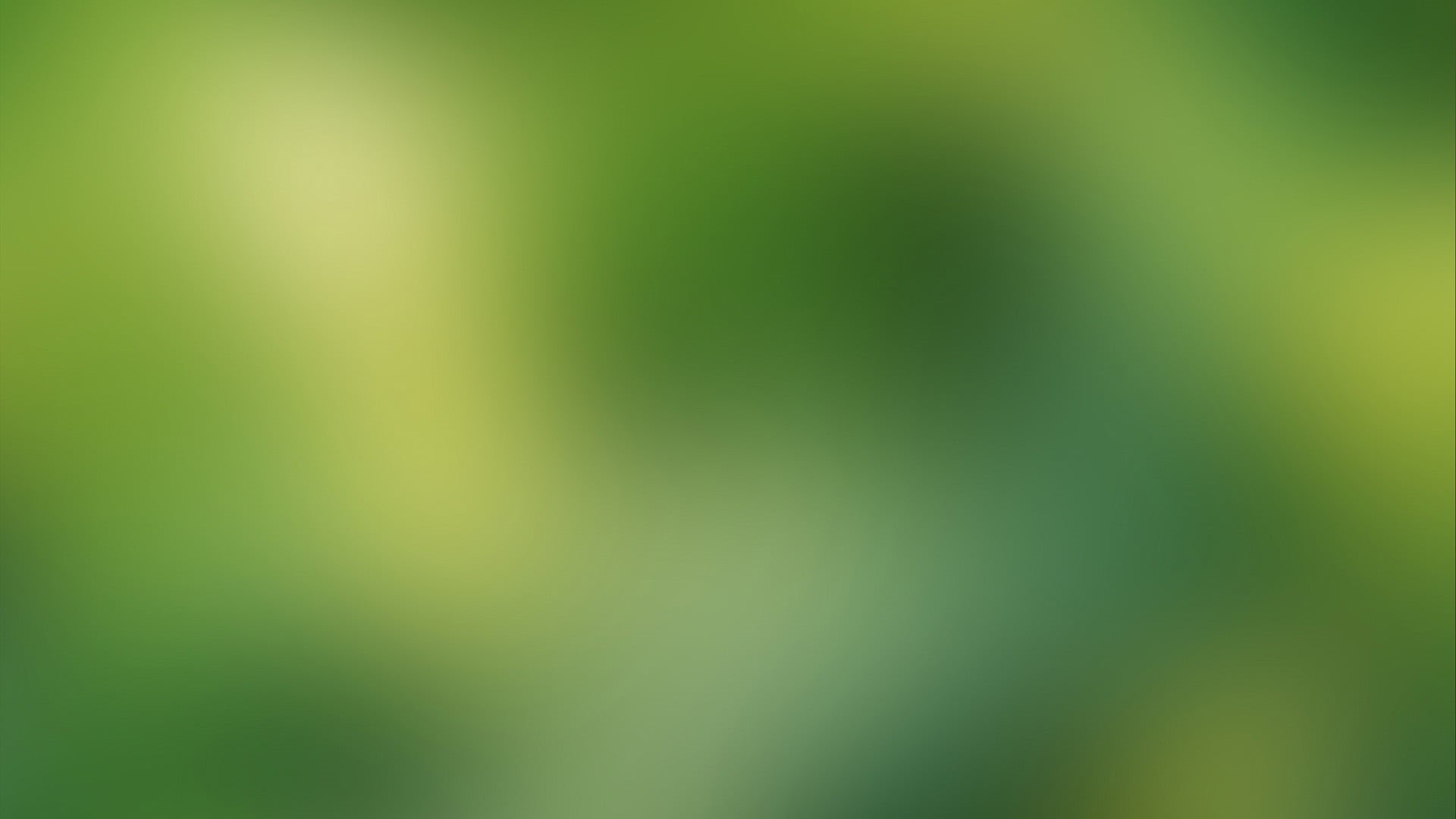 meadow, space, season, texture, artistic, graphic, foliage, sun, summer, light, bright, backdrop, natural, spring, garden, leaf, environment, HD Wallpaper