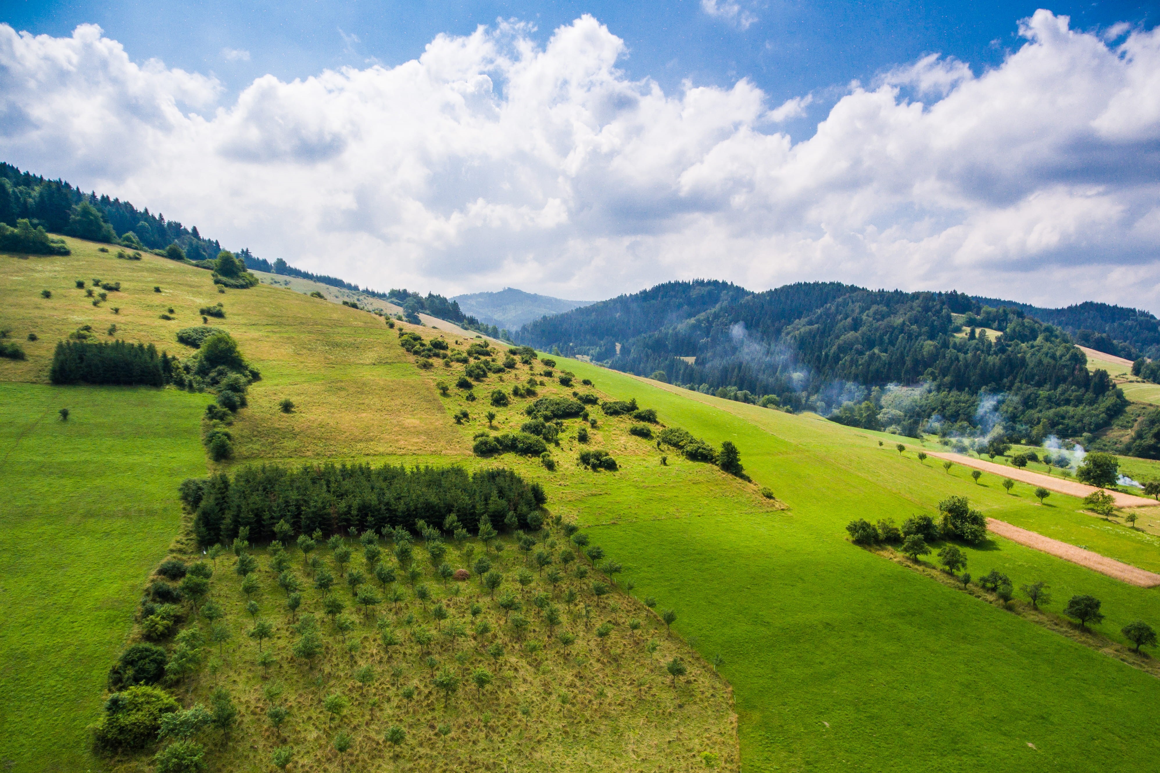 farm, Green Grass, hill, scenics - nature, no people, rural Scene, green Color, tree, scenics, agriculture, mountains, Trees, green, field, grass, cloud - Sky, HD Wallpaper