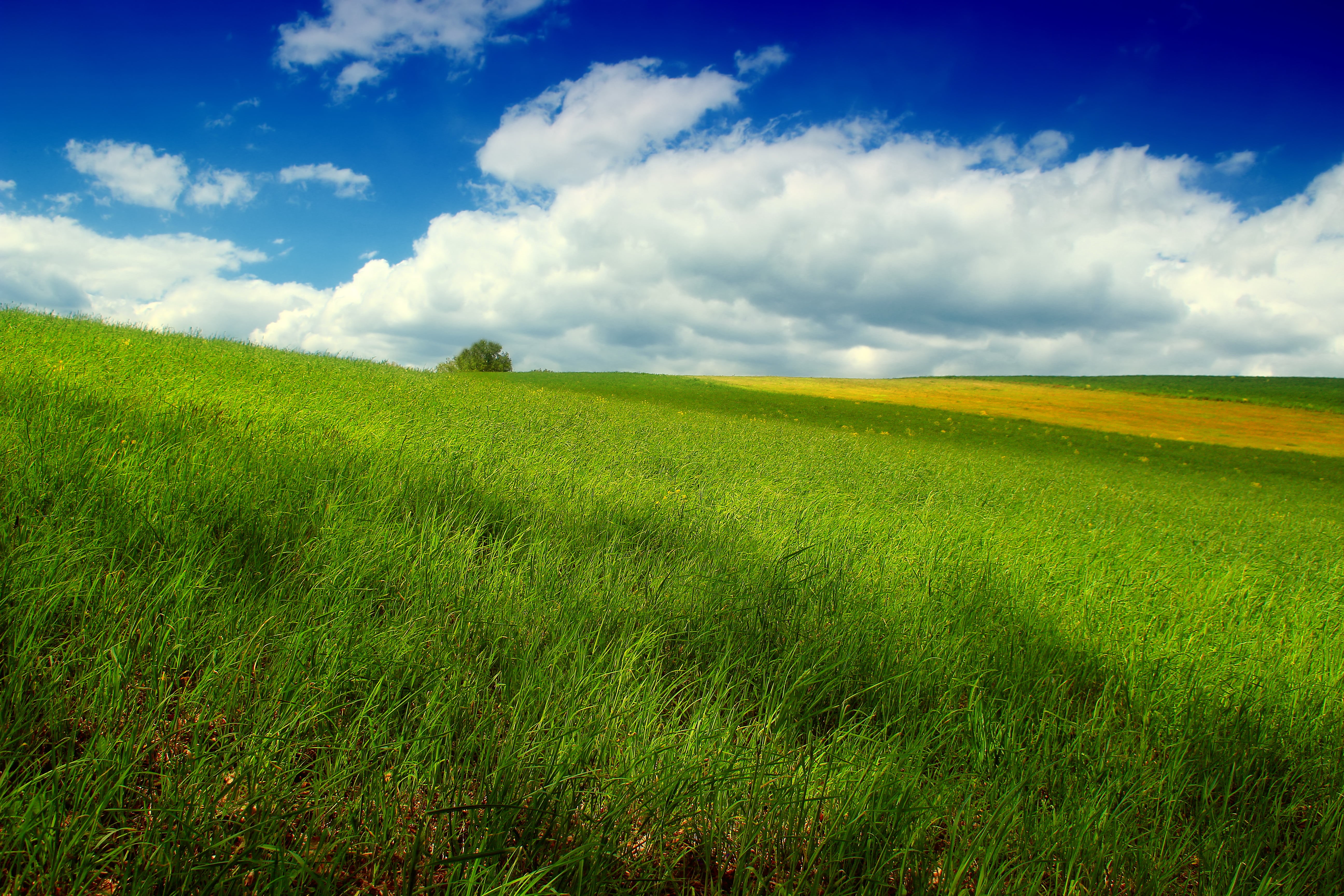 green, stratocumulus, Pennsylvania, hills, green grass, blue, green Color, creative commons, cloud - Sky, spring, Mount Pleasant Township, white, scenics, HD Wallpaper