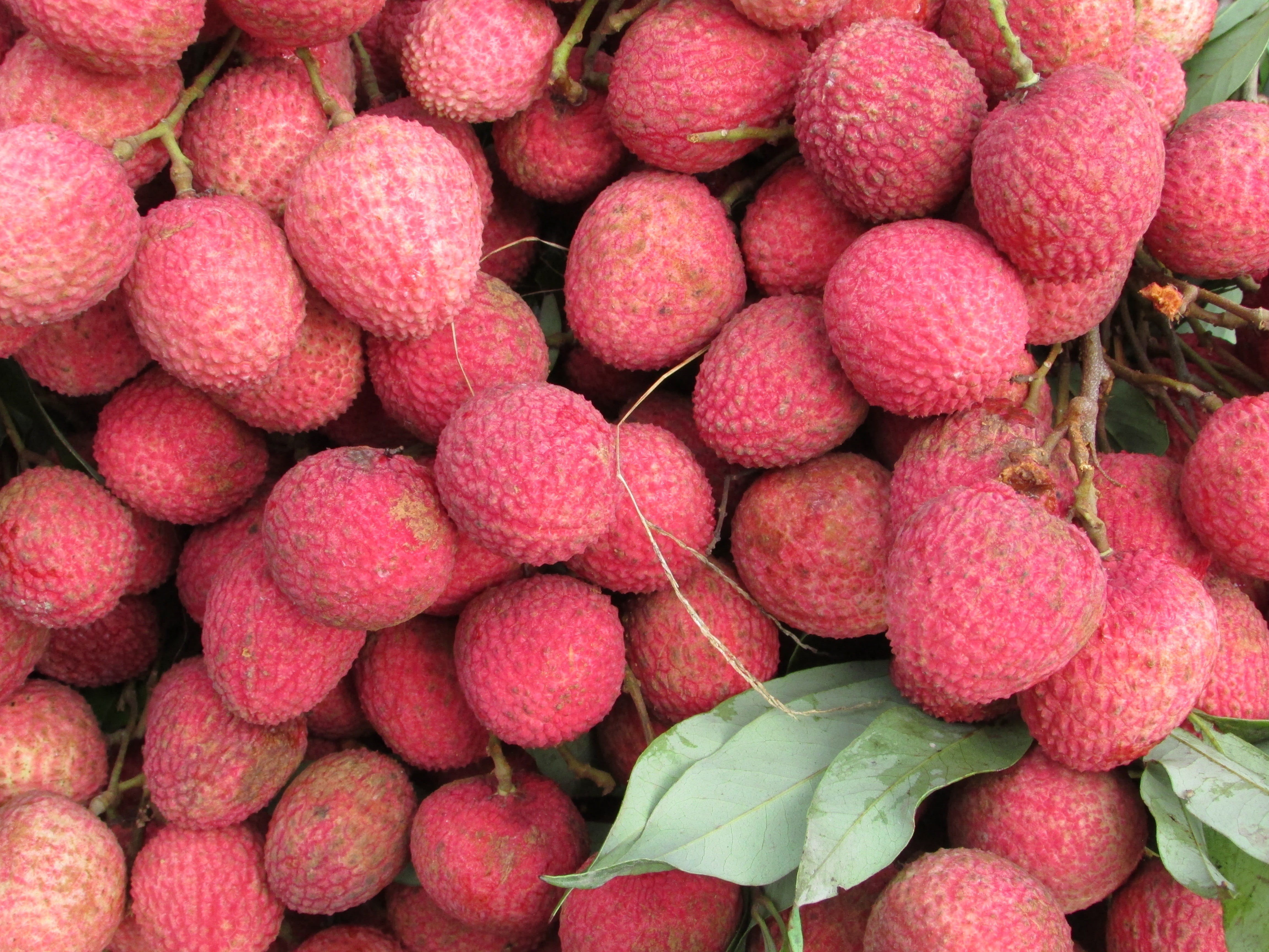 nature, red, high angle view, wellbeing, for sale, no people, market, fruit, close-up, lychee, full frame, 4K, abundance, gourmet, freshness, food and drink, HD Wallpaper