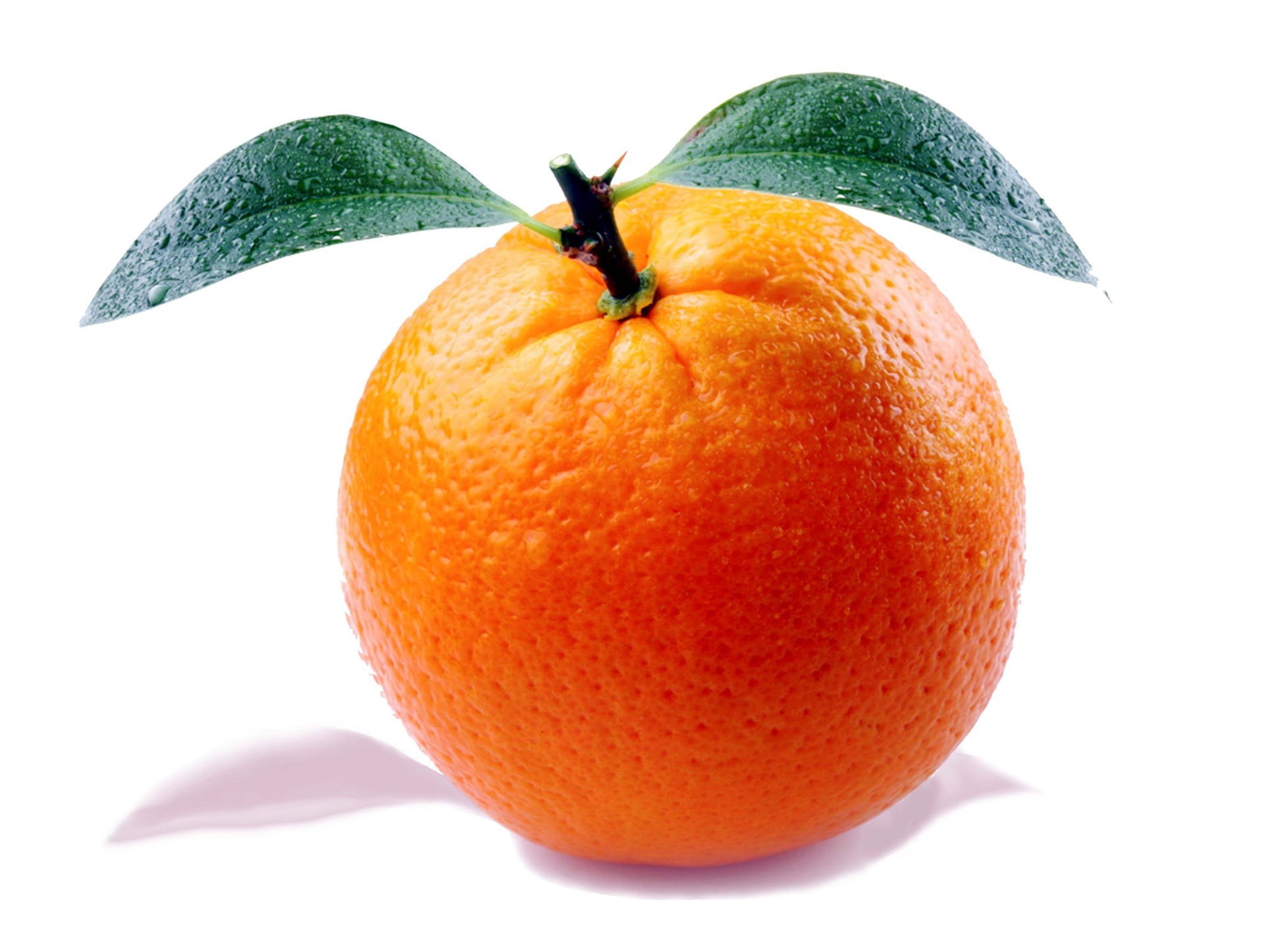 cut out, harvest, orange color, citrus Fruit, wellbeing, freshness, plant part, isolated, grocery, orange - Fruit, health, fresh, white background, still life, HD Wallpaper