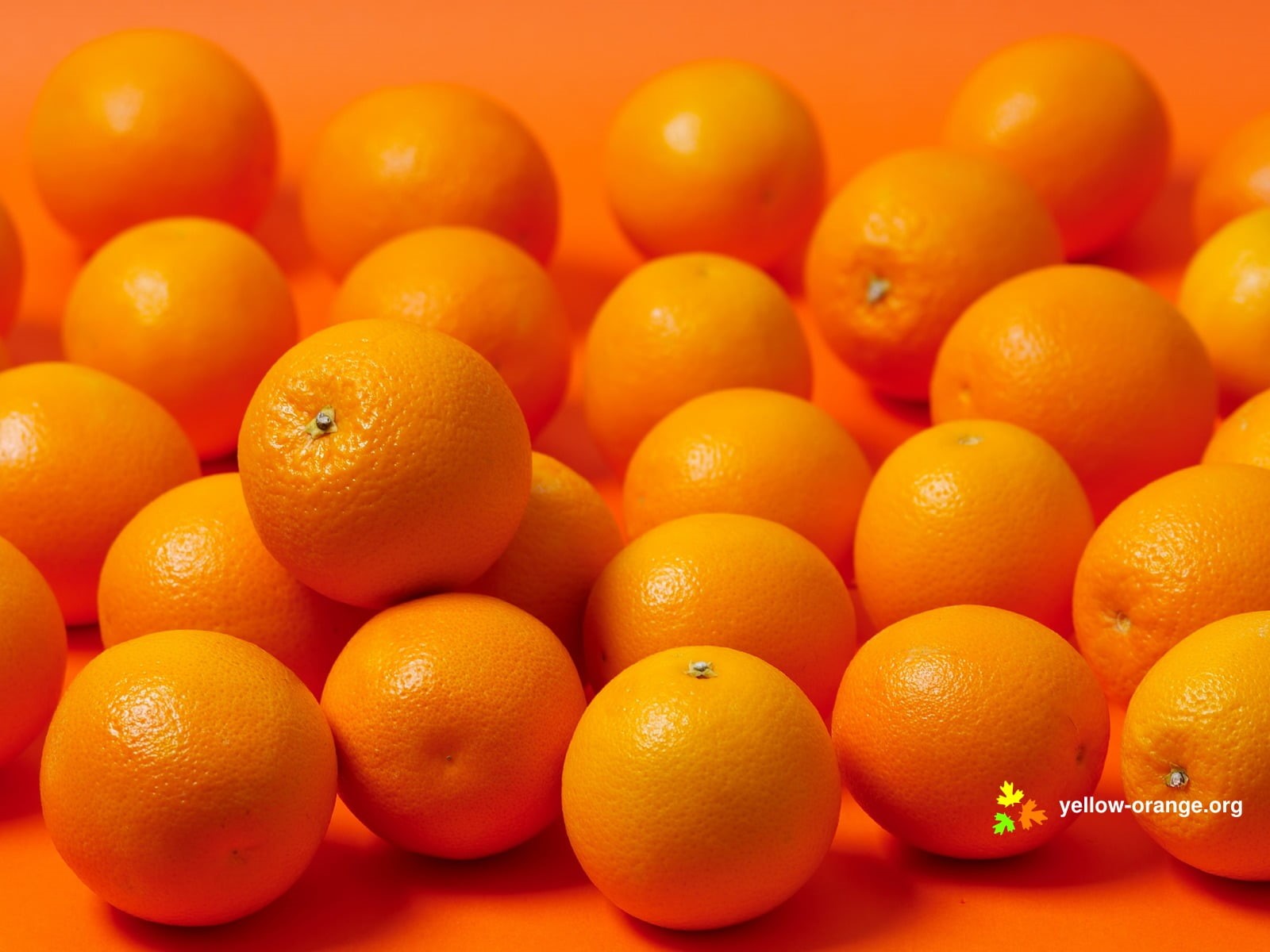 orange - fruit, indoors, healthy eating, orange (fruit), no people, fruit, large group of objects, ripe, food and drink, focus on foreground, wellbeing, HD Wallpaper