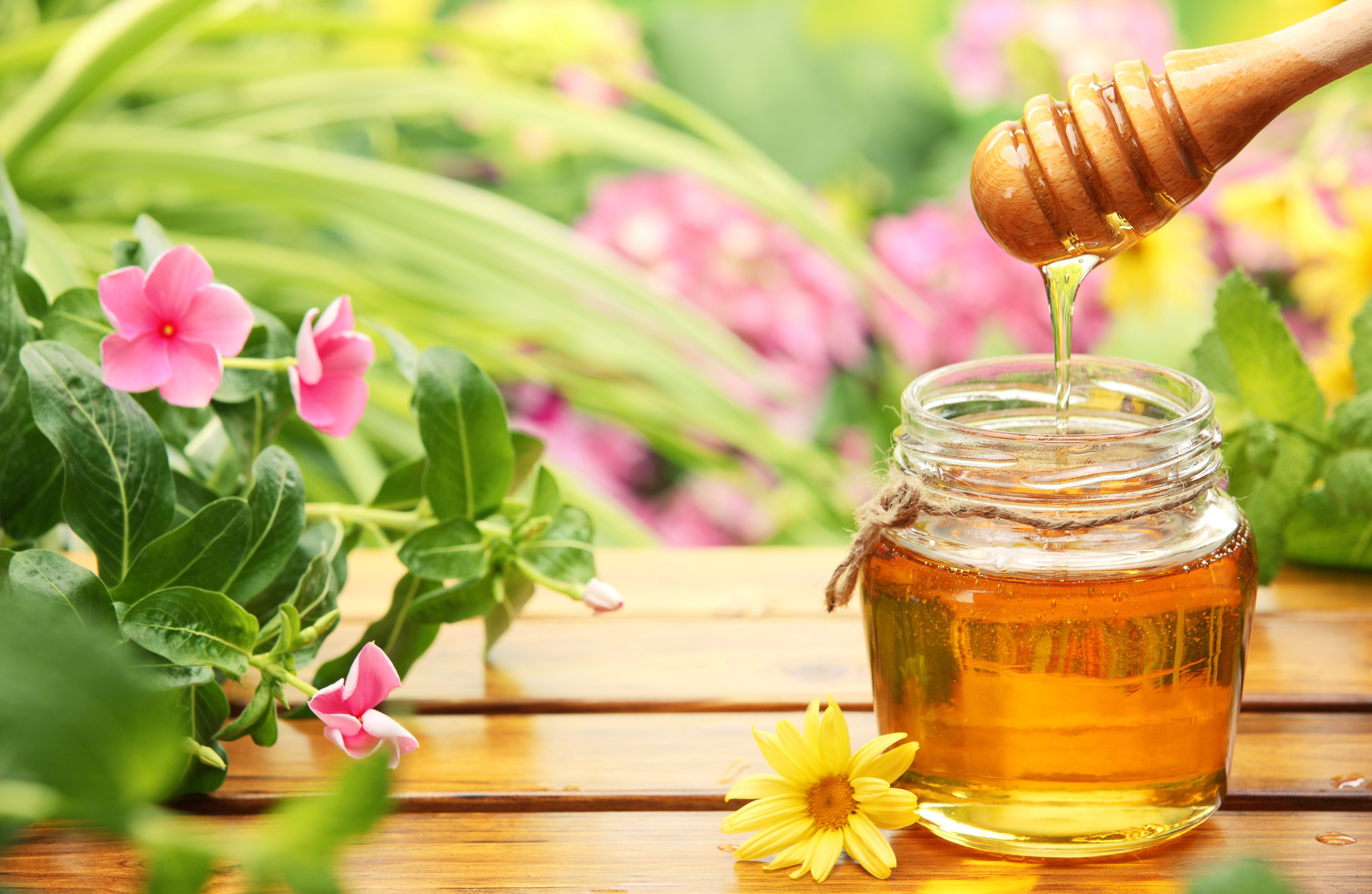 flowering plant, food and drink, food, freshness, honey, beauty in nature, flowers, glass - material, plant, 5K, herb, table, jar, clear, drink, container, HD Wallpaper