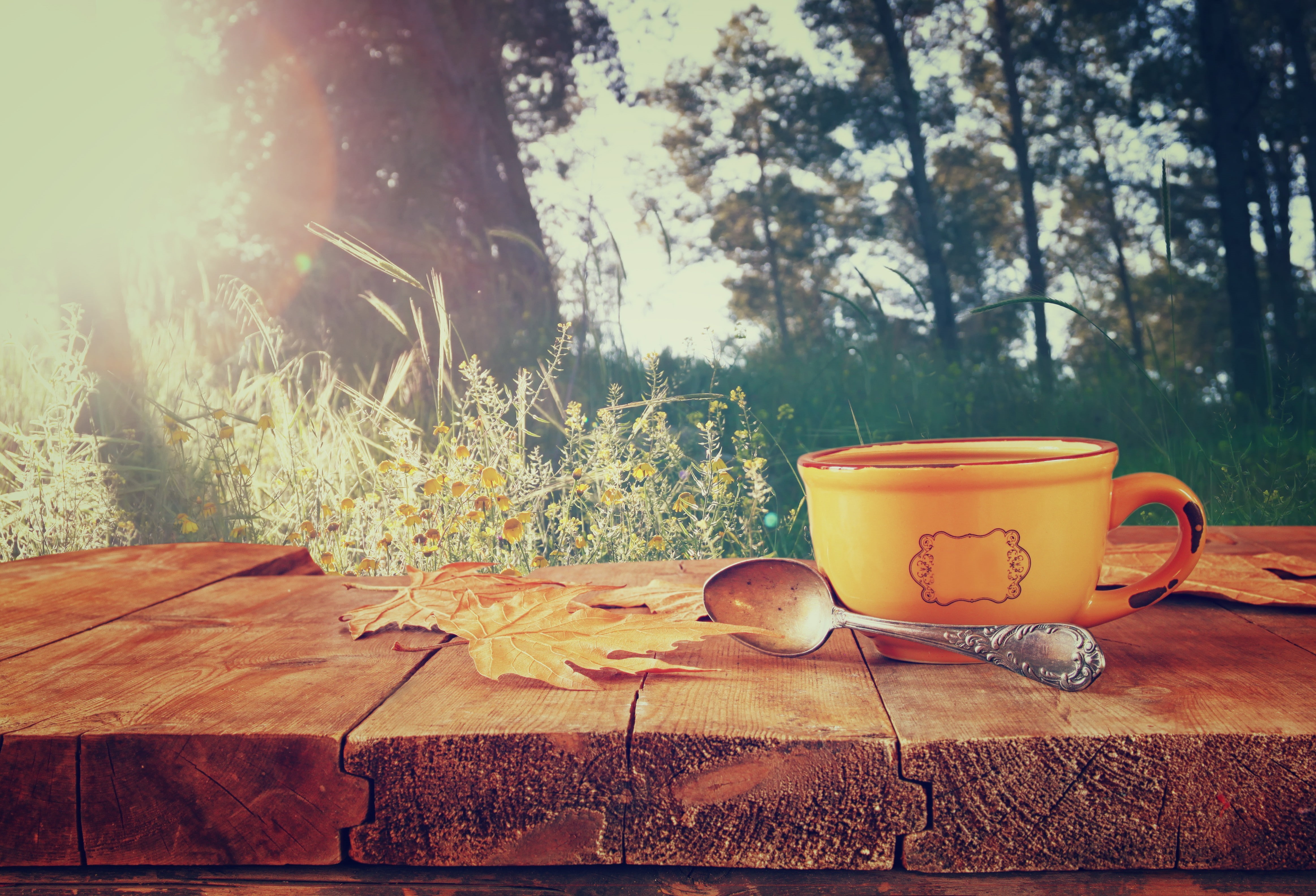 4K, spoons, table, HD Wallpaper