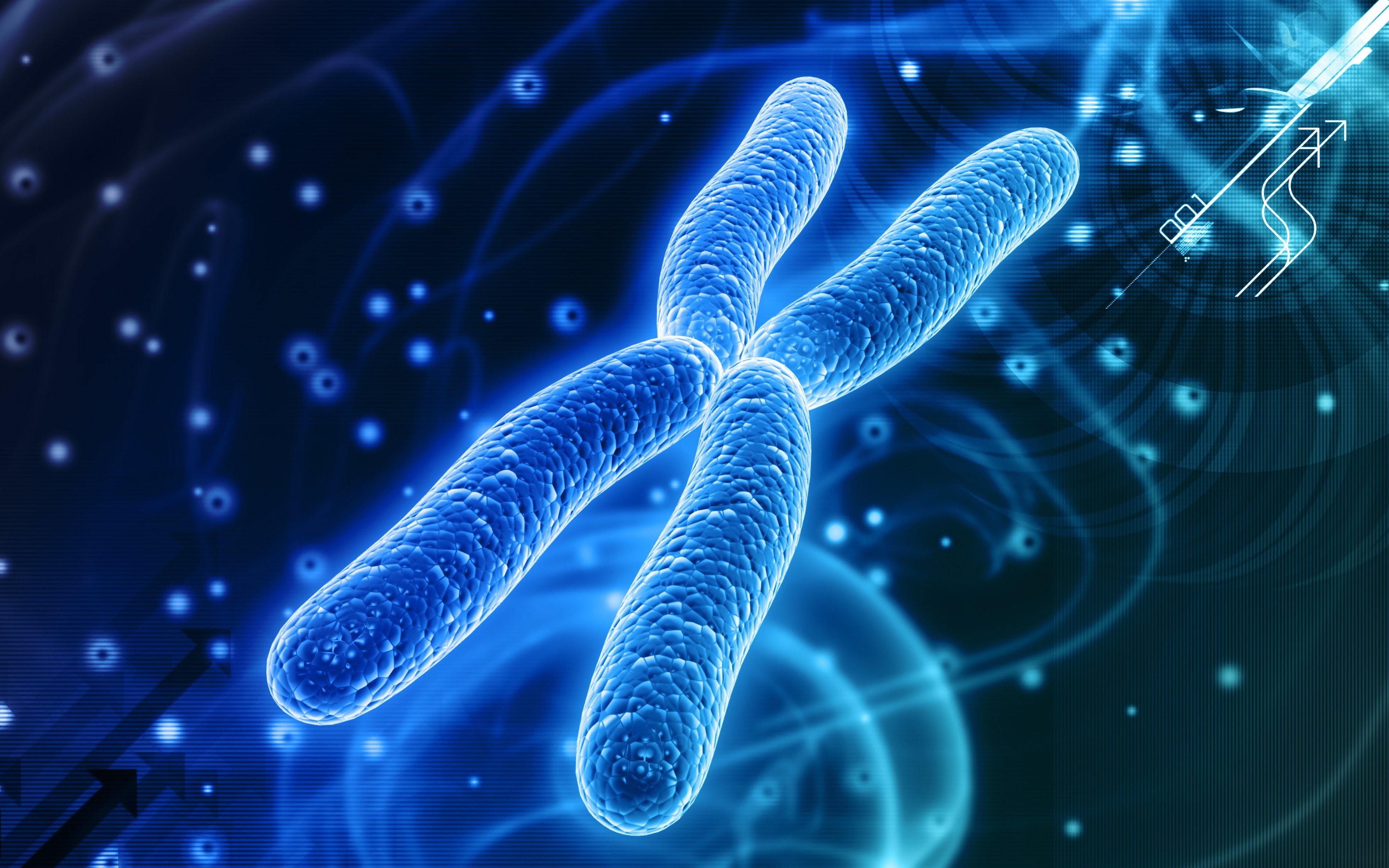 DNA, psychedelic, chromosome, Genetic, 2K, 3600x2250 px, d, pattern, HD Wallpaper