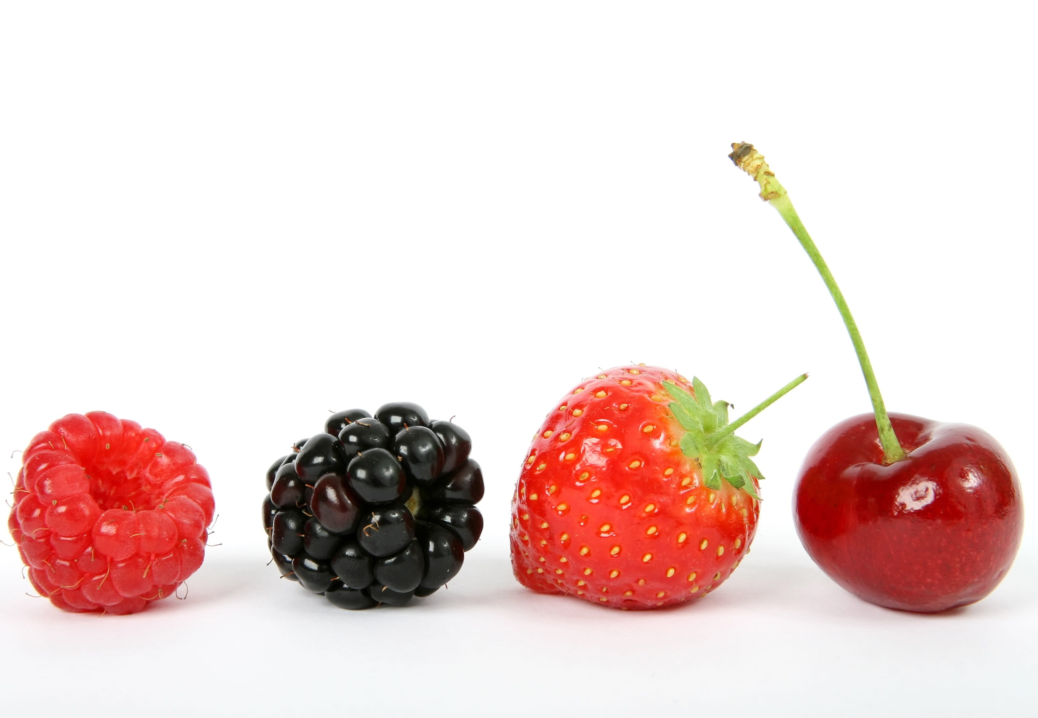 food, strawberry, sweet Food, blueberry, berry Fruit, macro, red, cherry, freshness, close-up, copy space, blackberry, group of objects, cut out, berry, HD Wallpaper