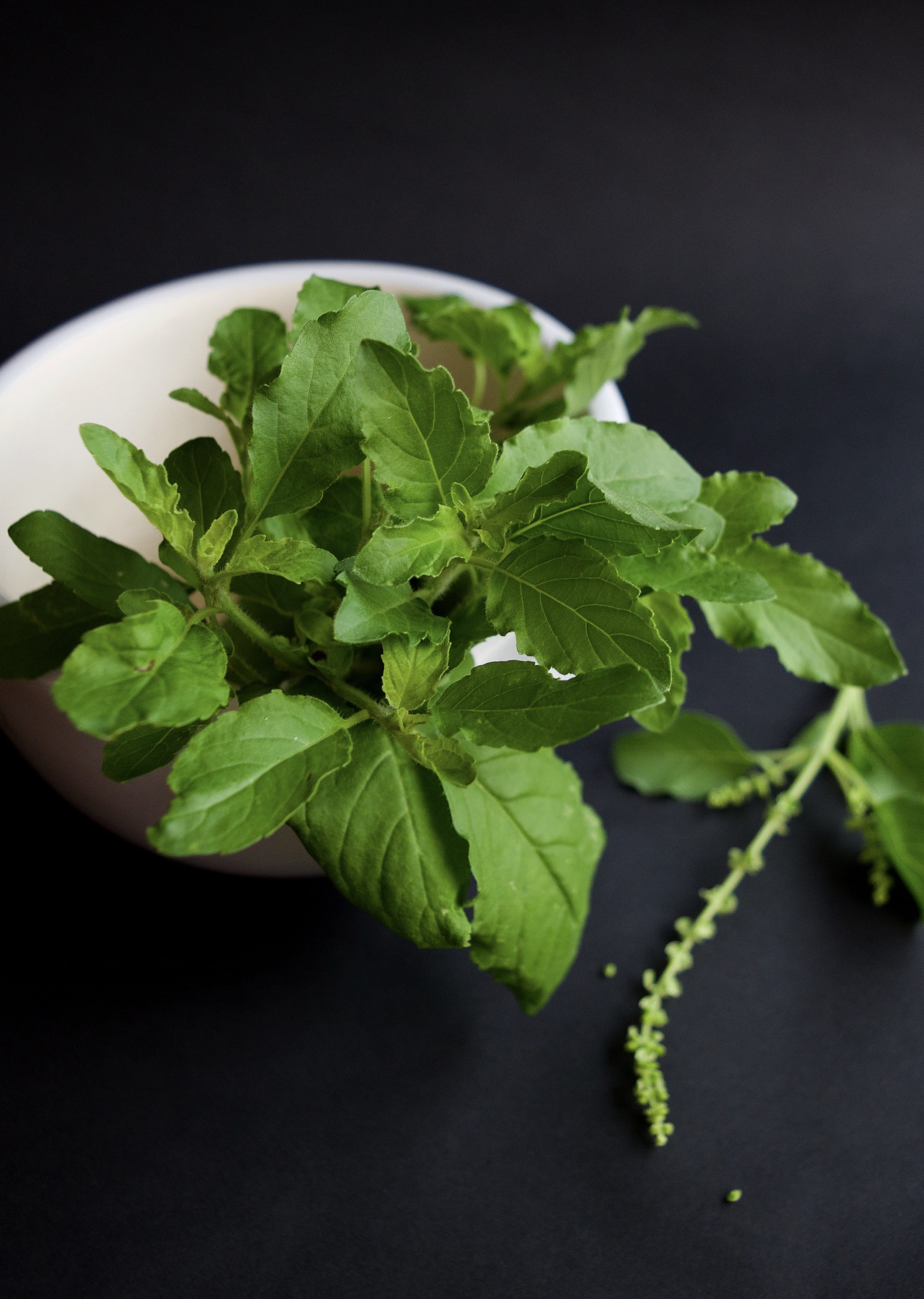basil, cooking, green, remedy, food, food and drink, natural, garnish, organic, wellbeing, garden, leaves, plant part, nature, ayurveda, still life, health, Phone HD Wallpaper