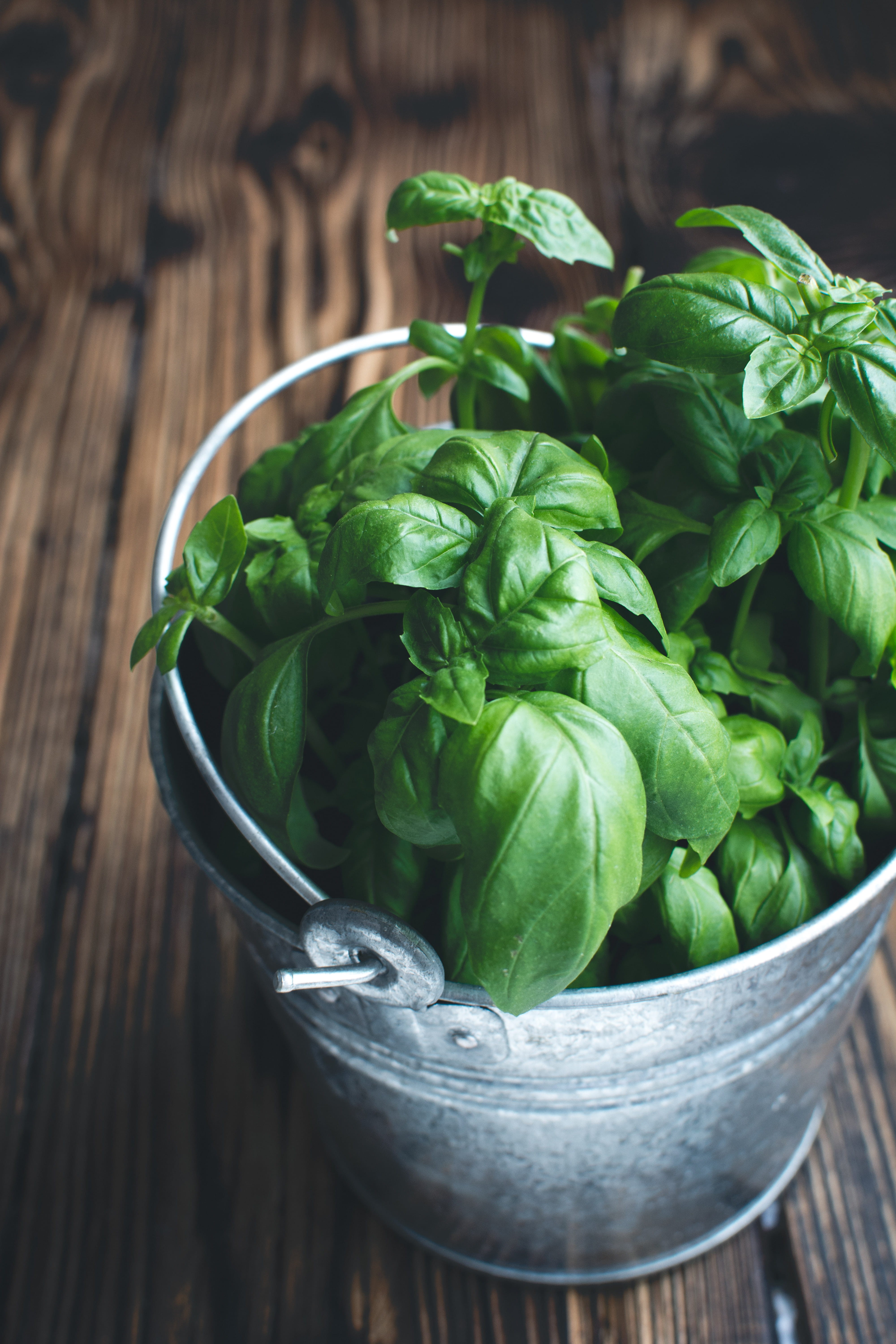 green Color, 5K, still life, bowl, bucket, organic, leaf vegetable, leaf, wood - Material, raw Food, basil, ingredient, food, wellbeing, green, table, Phone HD Wallpaper
