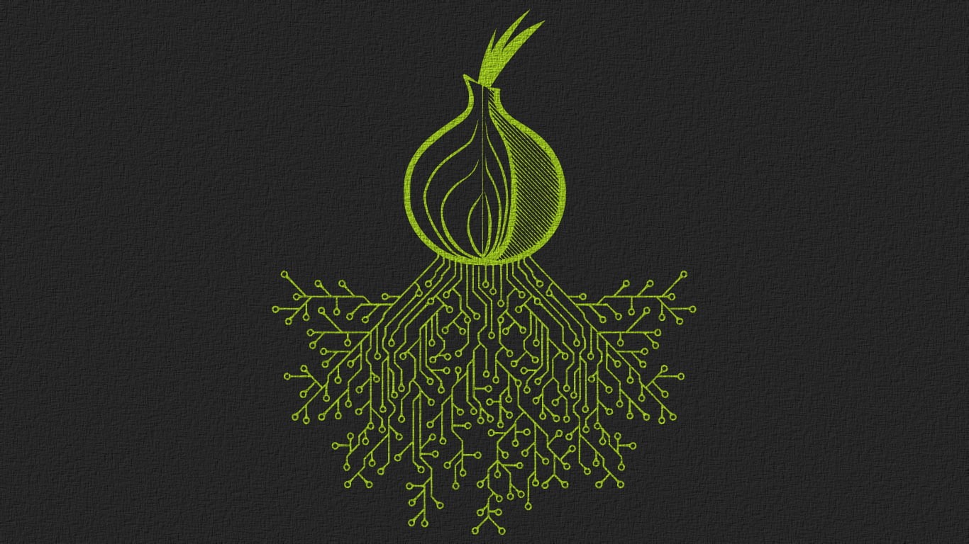 studio shot, internet, pattern, vegetable, directly above, food, no people, nature, plant, close-up, green color, still life, wellbeing, freshness, onion, HD Wallpaper