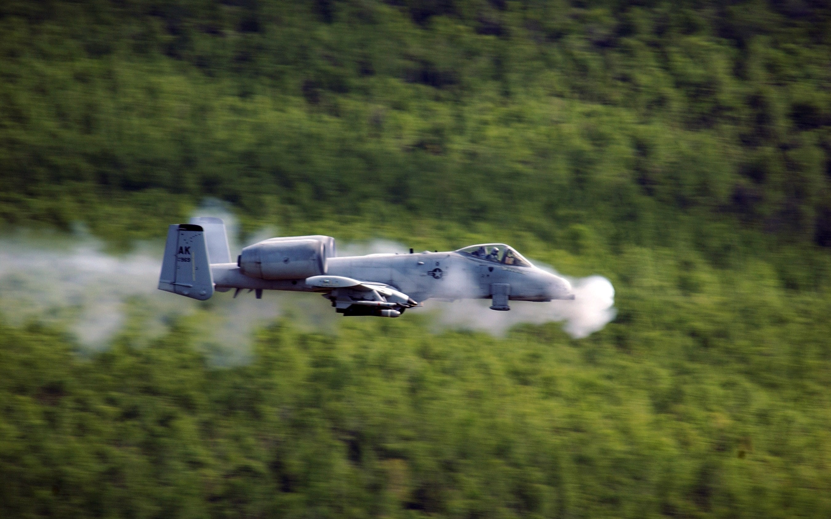 plant, camera - photographic equipment, 2K, flying, no people, photography themes, green color, grass, day, blurred motion, technology, fairchild republic a 10 thunderbolt ii, HD Wallpaper
