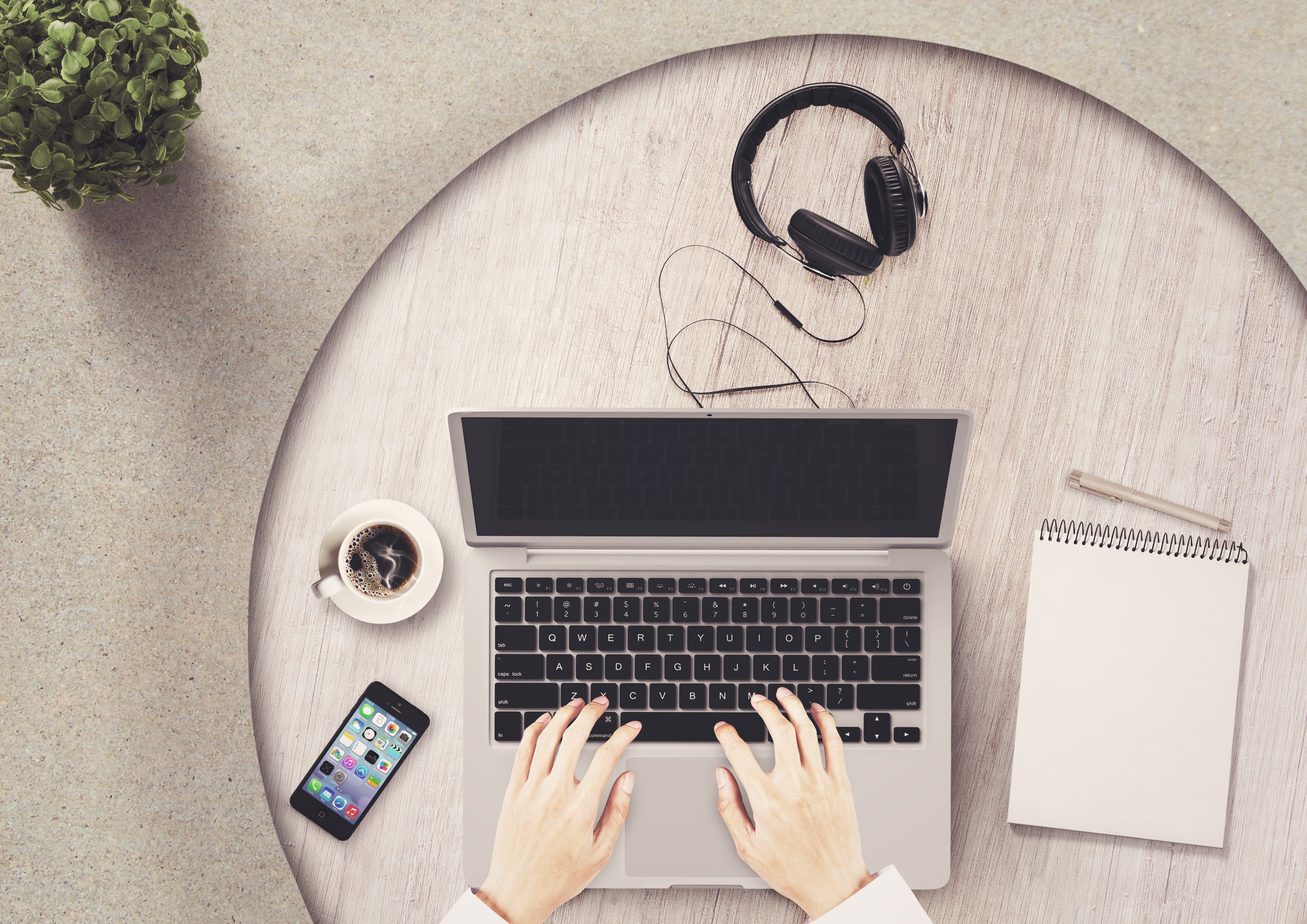 plant, laptop, network, s, planning, notepad, person, work, businesswoman, connection, directly above, paper, work from home, coffee, about, portable information device, HD Wallpaper