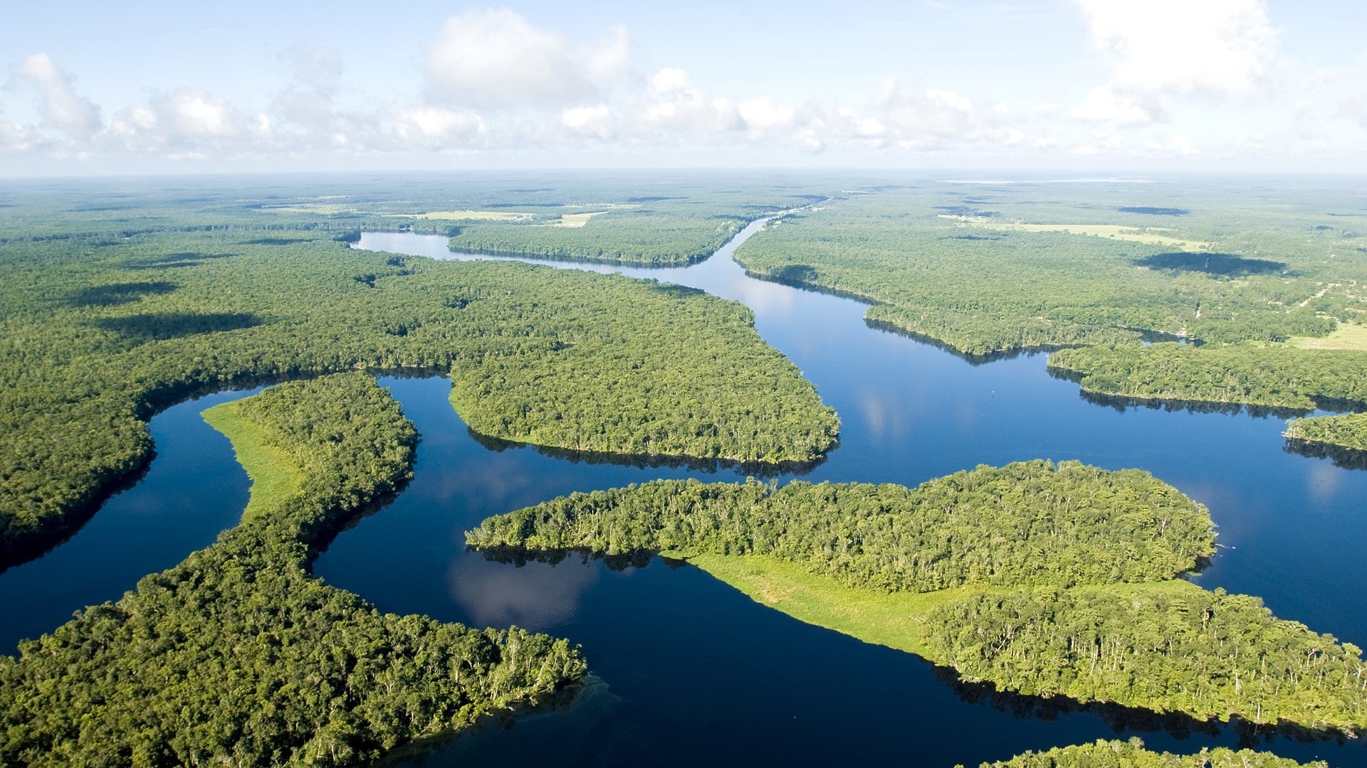 horizon, no people, green, river, green - golf course, 1080P, cloud - sky, jungle, Amazon, horizon over water, green color, aerial view, day, lake, landscape, HD Wallpaper