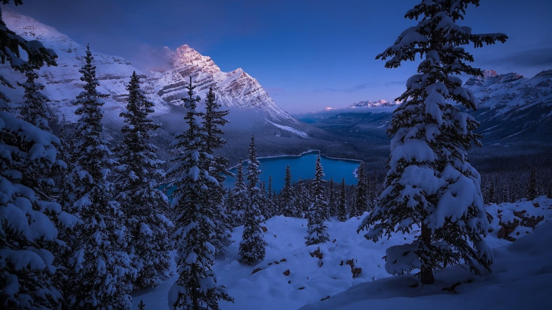 canada, snowcapped mountain, sky, beauty in nature, mountain range, no people, plant, mountain, tranquility, national park, mountainous landforms, scenics - nature, HD Wallpaper