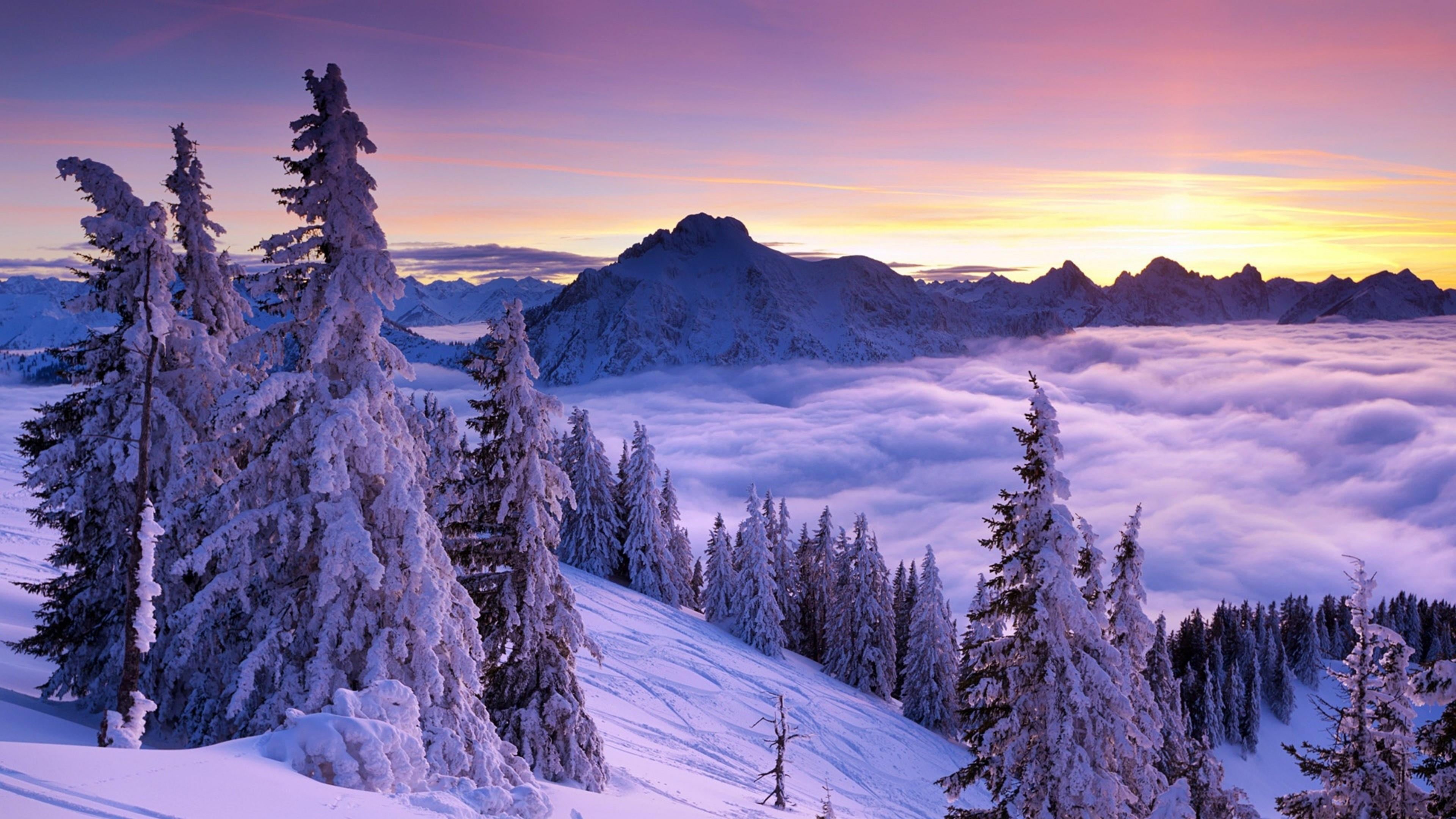 clouds, forest, alps, mountain range, frozen, evergreen tree, pine tree, cold temperature, cloud - sky, non-urban scene, winter, sunset, snow, beauty in nature, HD Wallpaper