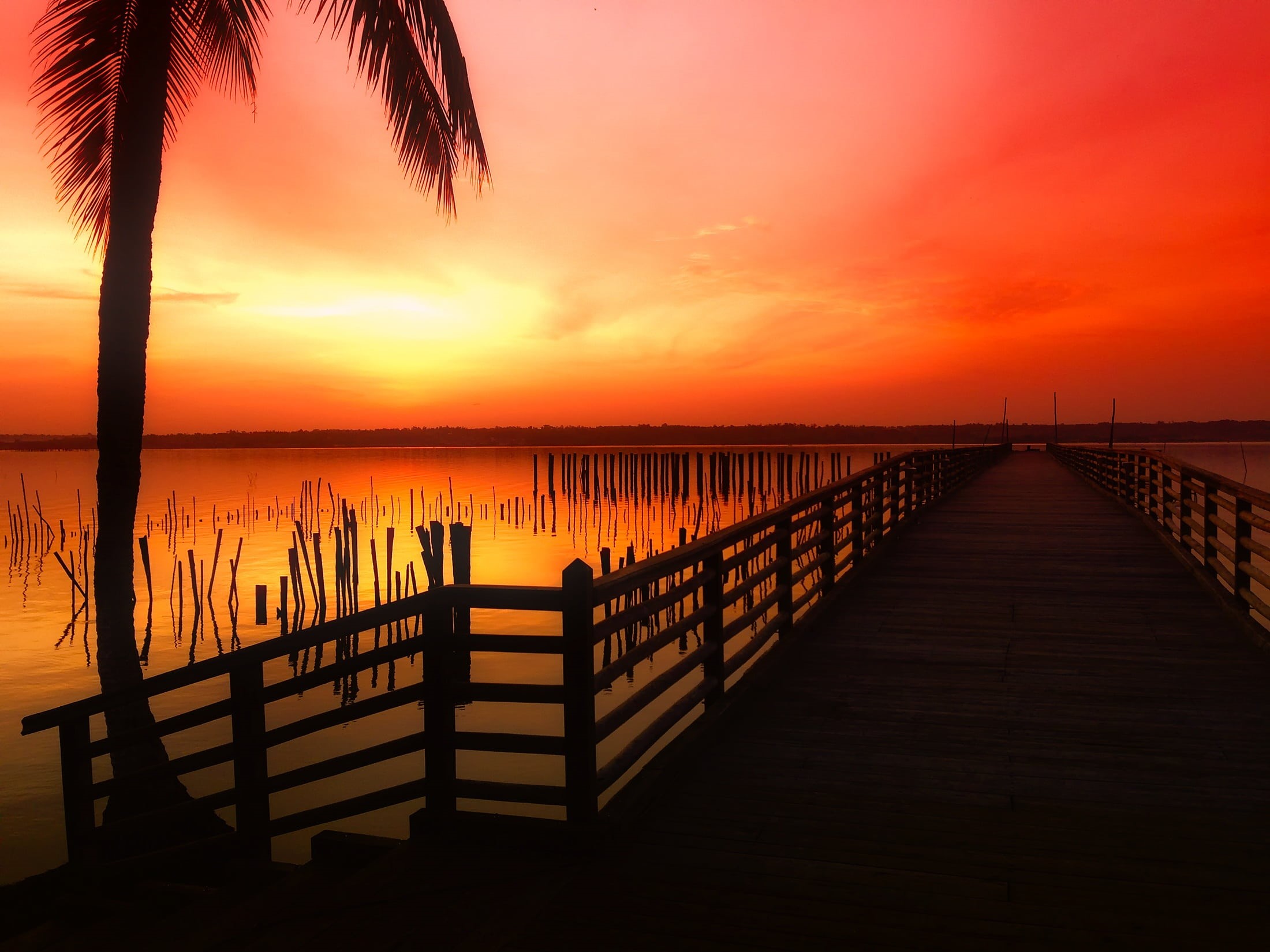 tropics, dusk, lake, dock, tranquility, beach, vacations, beautiful, benin, land, sea, holiday, no people, hour, scenics - nature, jetty, palm tree, idyllic, HD Wallpaper