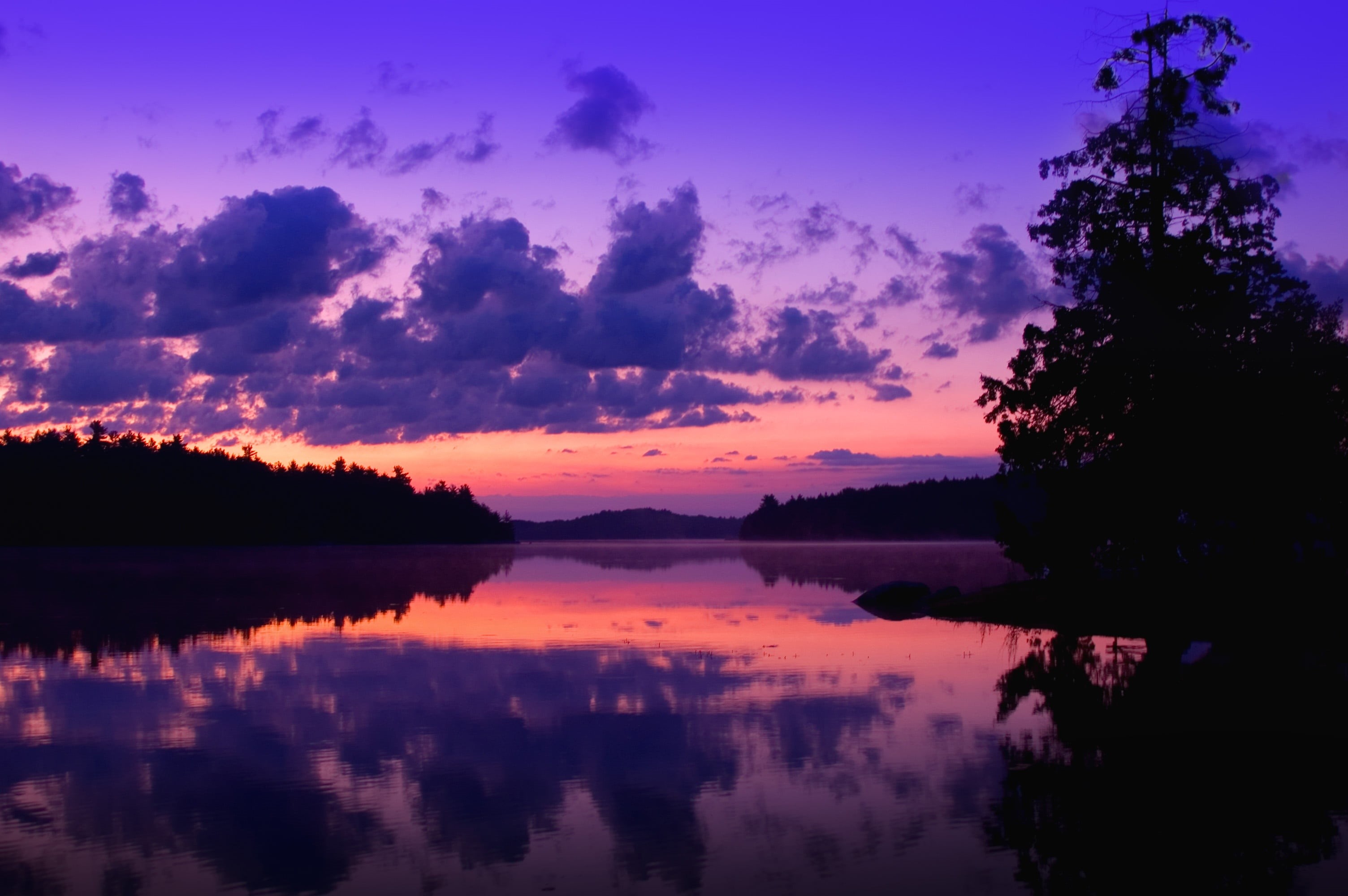 forest, scenics - nature, scene, plant, horizon, tranquil Scene, tranquility, reflection, clouds, outdoors, bright, tranquil, nature, water, 2K, light, HD Wallpaper