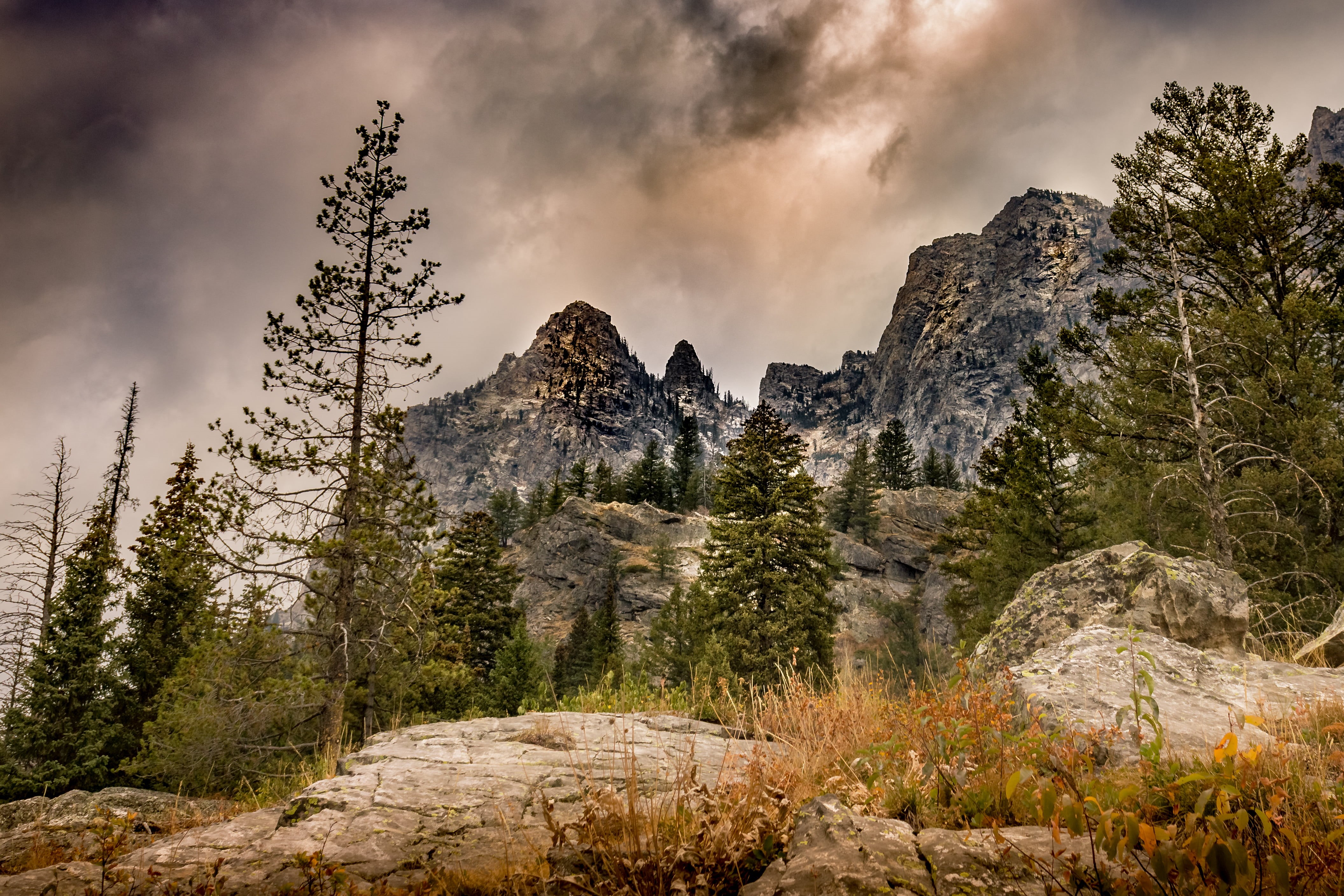 rock - Object, nature, green pine, near, trees, scenics, uppity, rocky mountains, summer, fall, sky, jenny  lake  trail, outdoors, cloud - Sky, beauty In Nature, HD Wallpaper