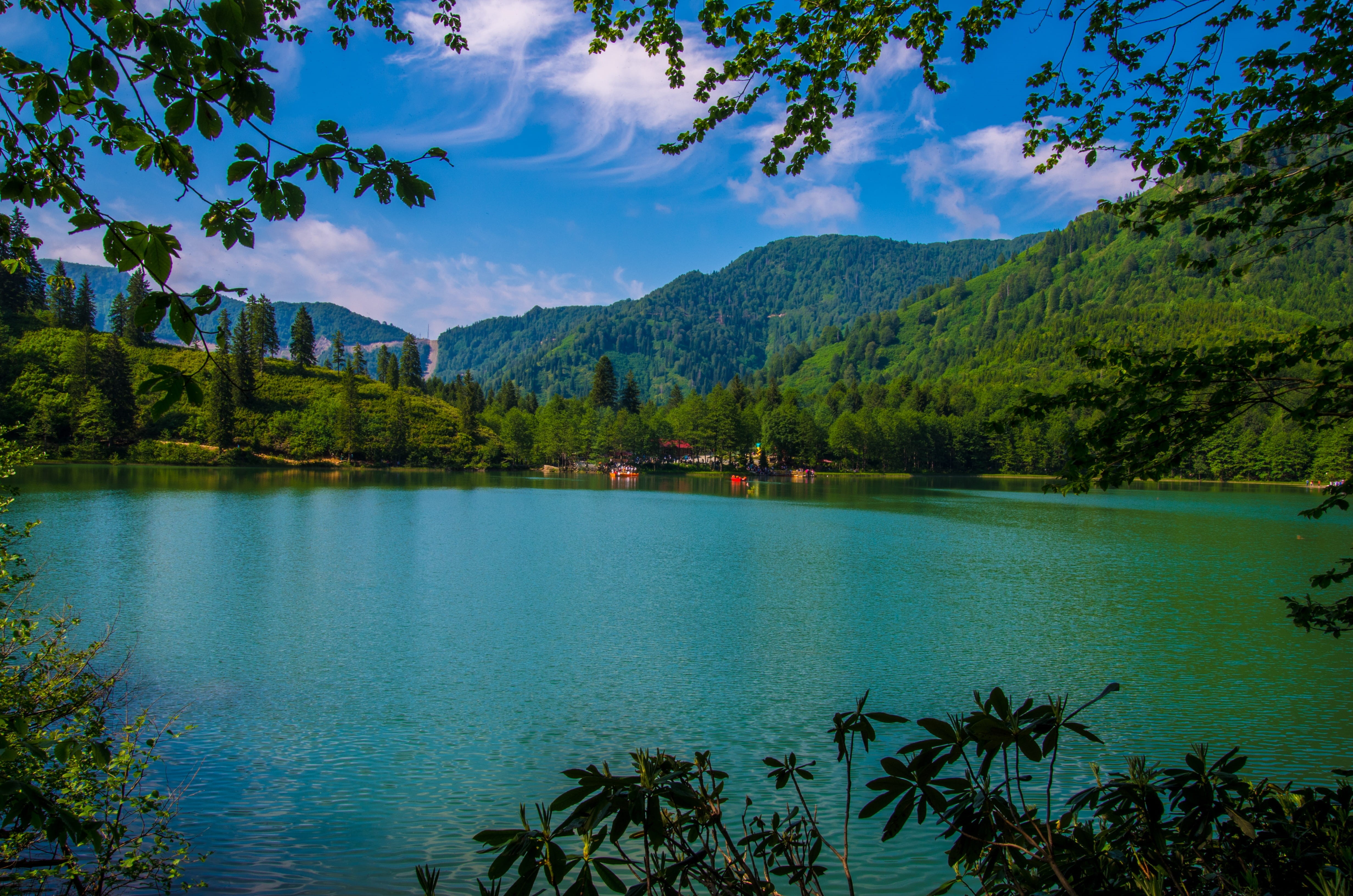 borçka, growth, tree, beside, idyllic, landscape, cloud - sky, reflection, green, body of water, beautiful, scenics - nature, trees, non-urban scene, outdoors, HD Wallpaper
