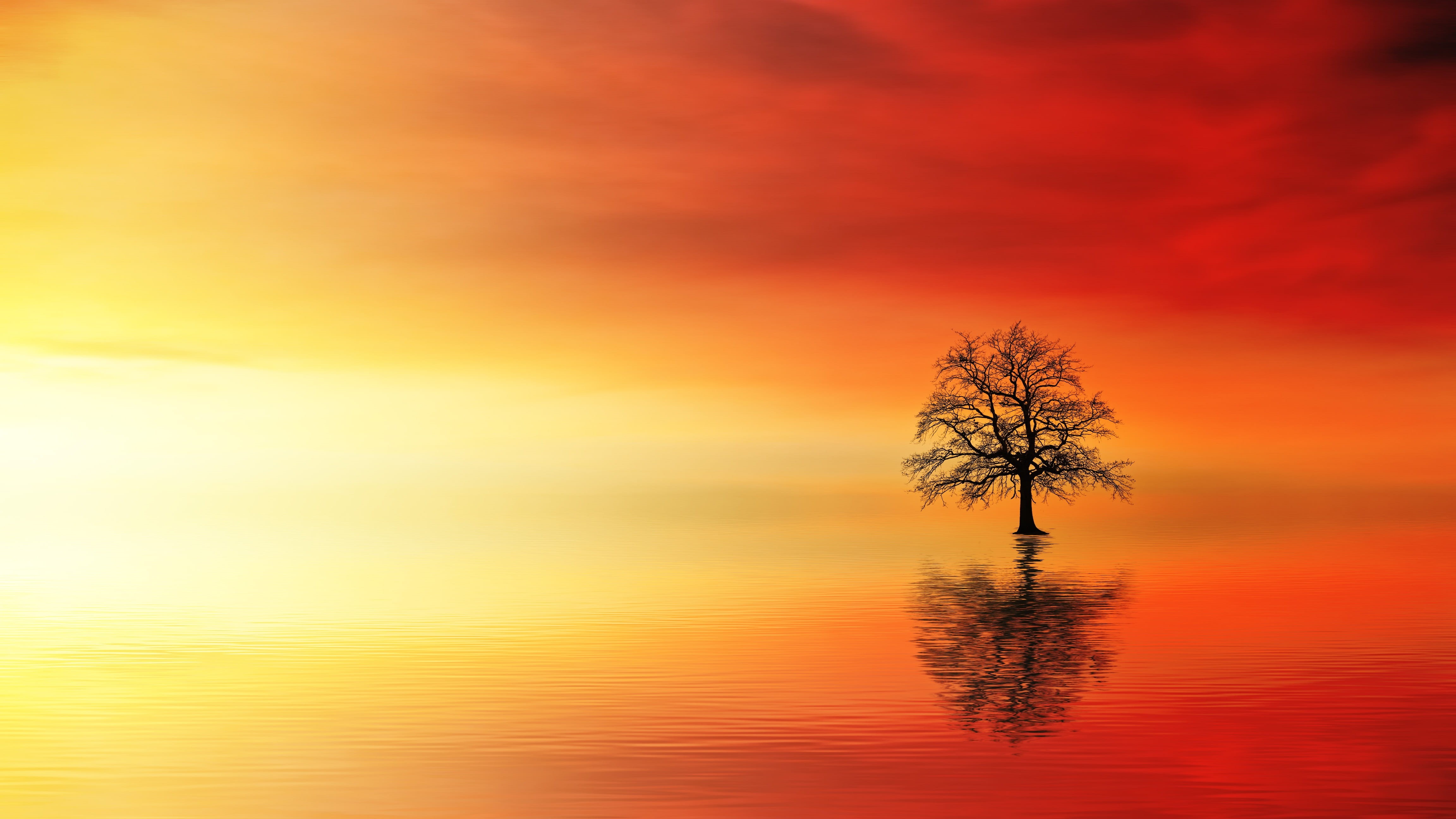 outdoors, waters, tree, horizon over water, red, landscape, sunset, dawn, dusk, fog, idyllic, lake, no people, clouds, plant, cloud - sky, beauty in nature, HD Wallpaper