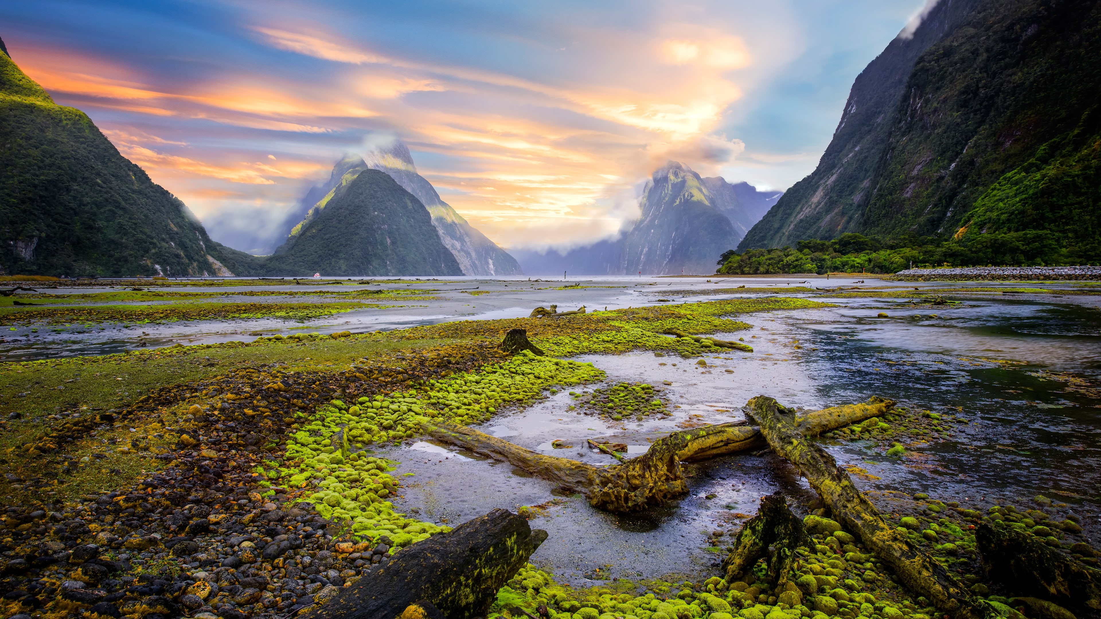 4K, morning, landscape, new zealand, wilderness, mountain, national park, fiordland national park, highland, milford sound, HD Wallpaper
