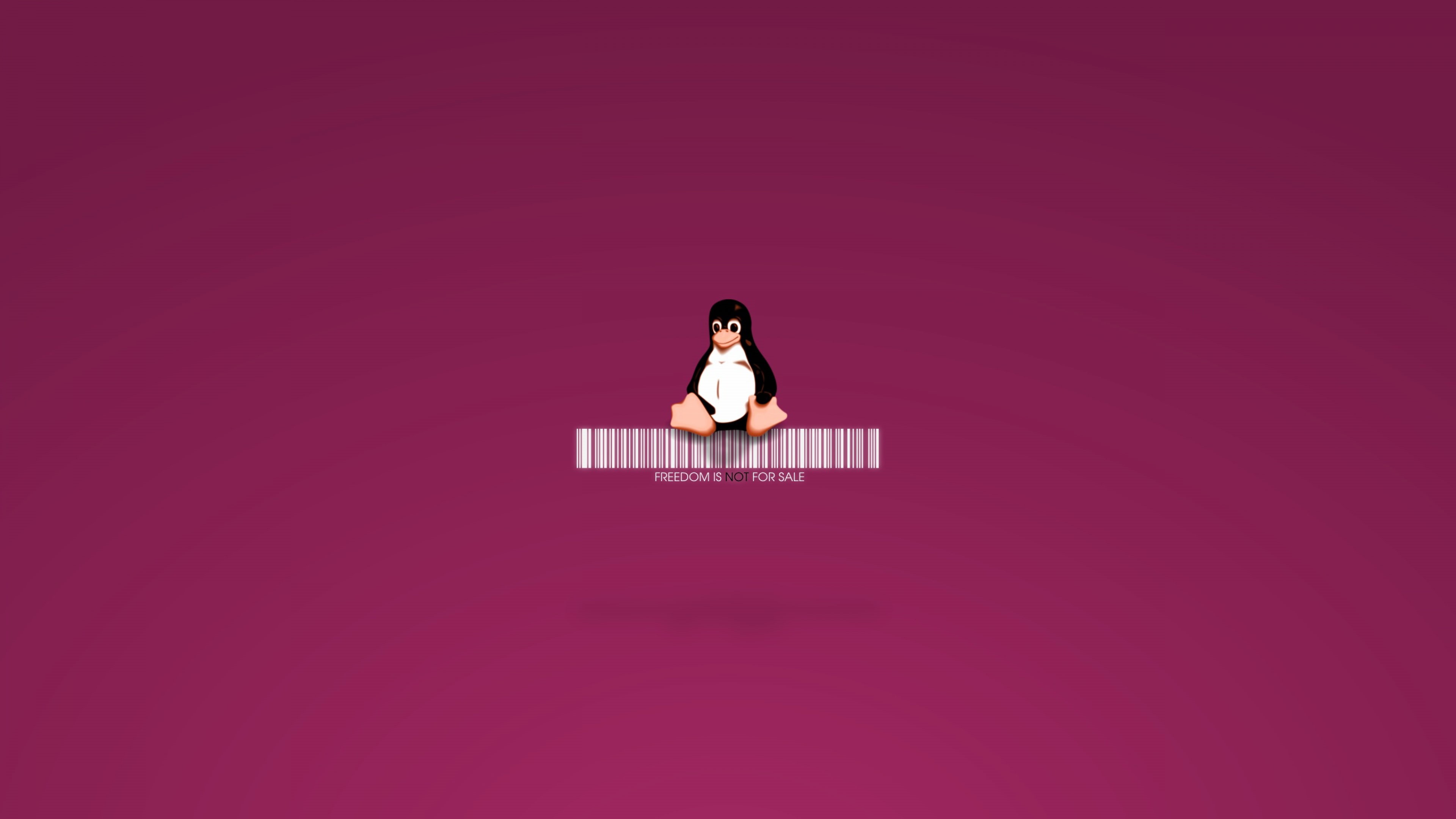 aspirations, women, linux, computer, young adult, uncertainty, copy space, penguin, standing, one person, hairstyle, pink color, colored background, fashion, HD Wallpaper