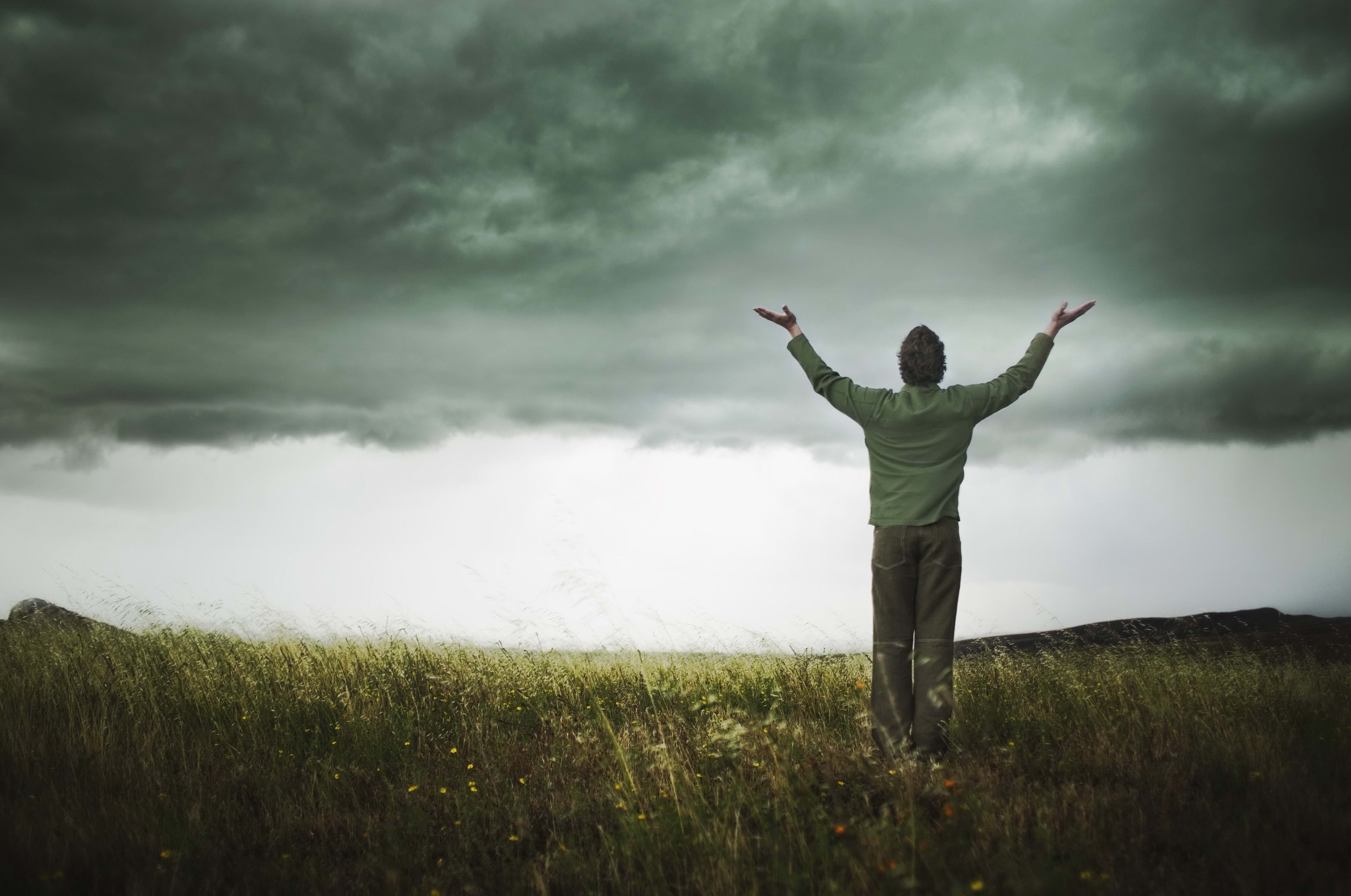 meadow, solitude, spirituality, one Person, real people, hands, three quarter length, heaven, field, land, males, gratitude, copy Space, 4K, beauty in nature, HD Wallpaper